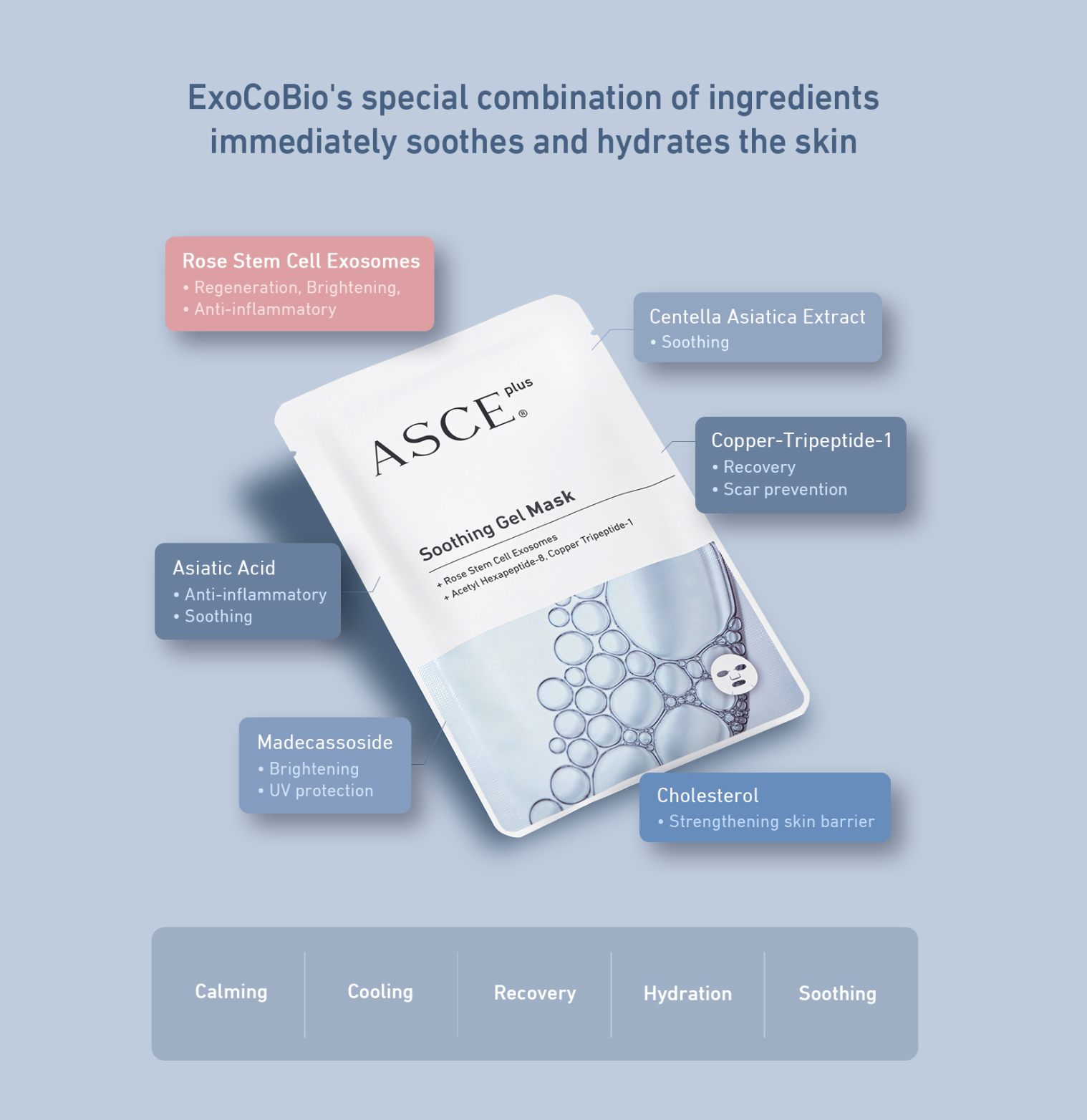 ASCE Plus | 外泌體修復舒緩面膜 Soothing Gel Mask