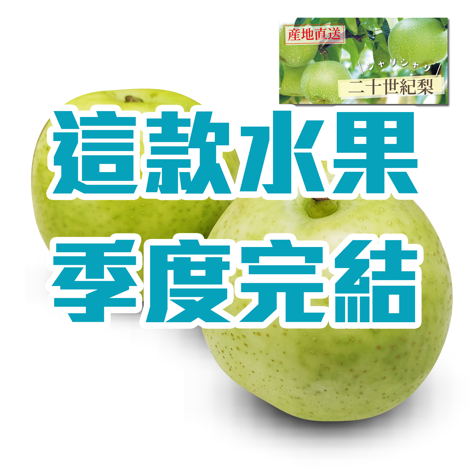 日本鳥取縣二十世紀水晶梨 [2個]