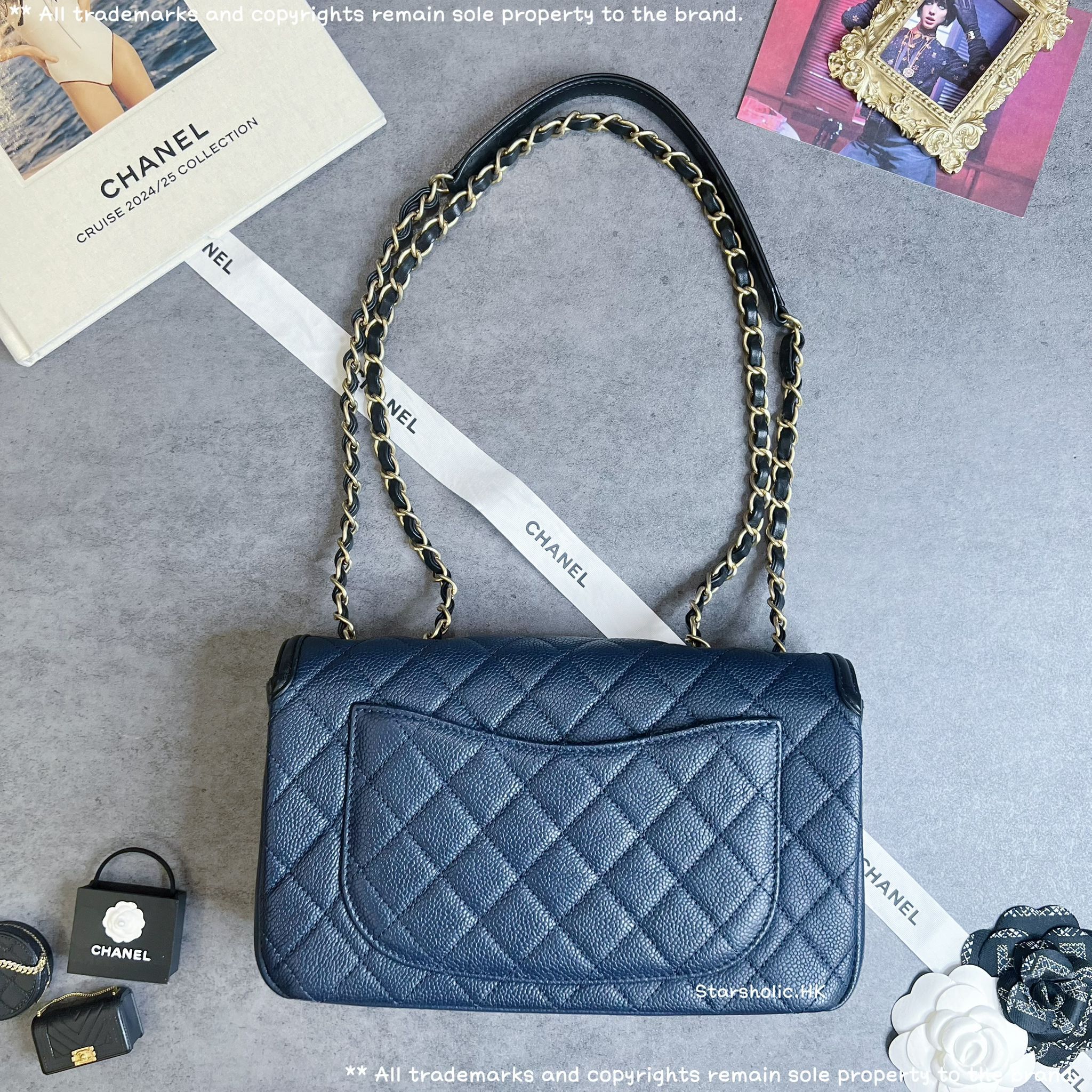 「SOLD」CHANEL Seasonal 25cm Flap Bag