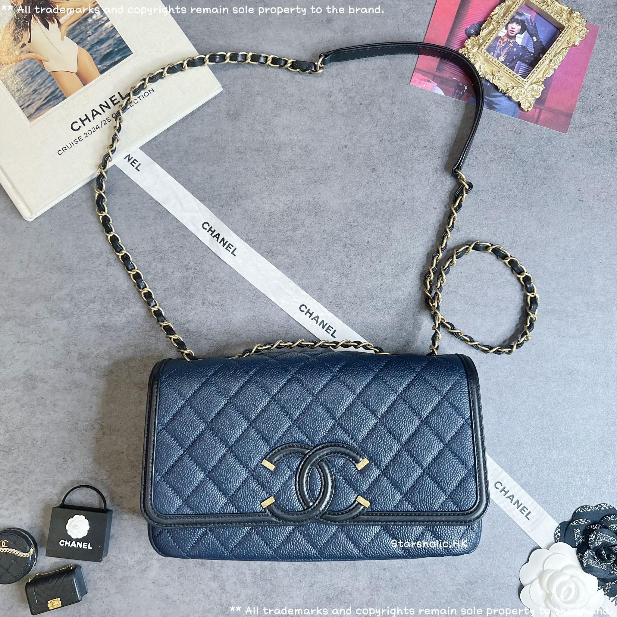 「SOLD」CHANEL Seasonal 25cm Flap Bag