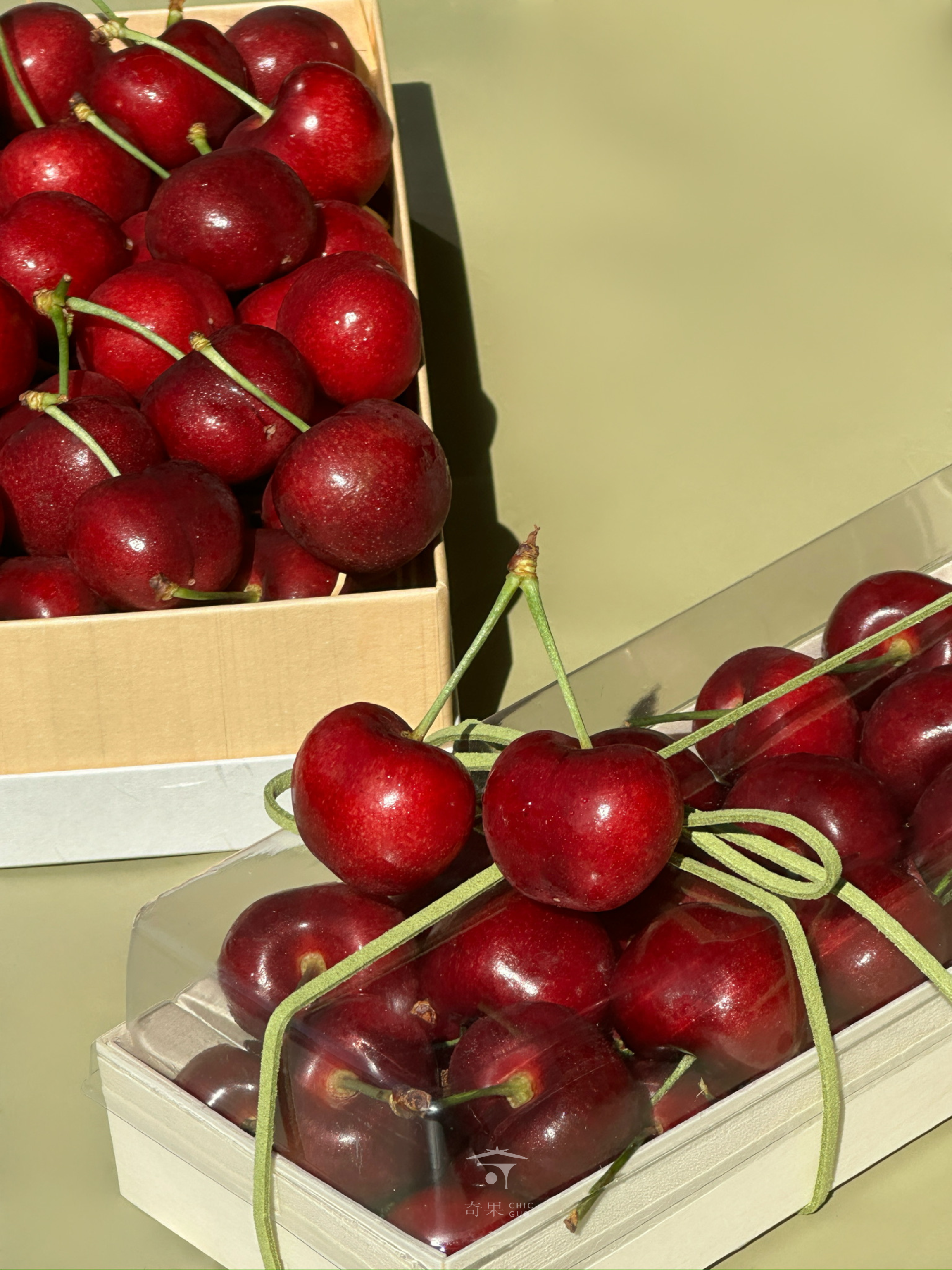 奇果｜嚴選冬季紅櫻桃