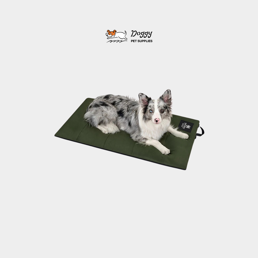 【 OneTigris 】WD02A野戰睡墊｜可捲收式戰術睡墊