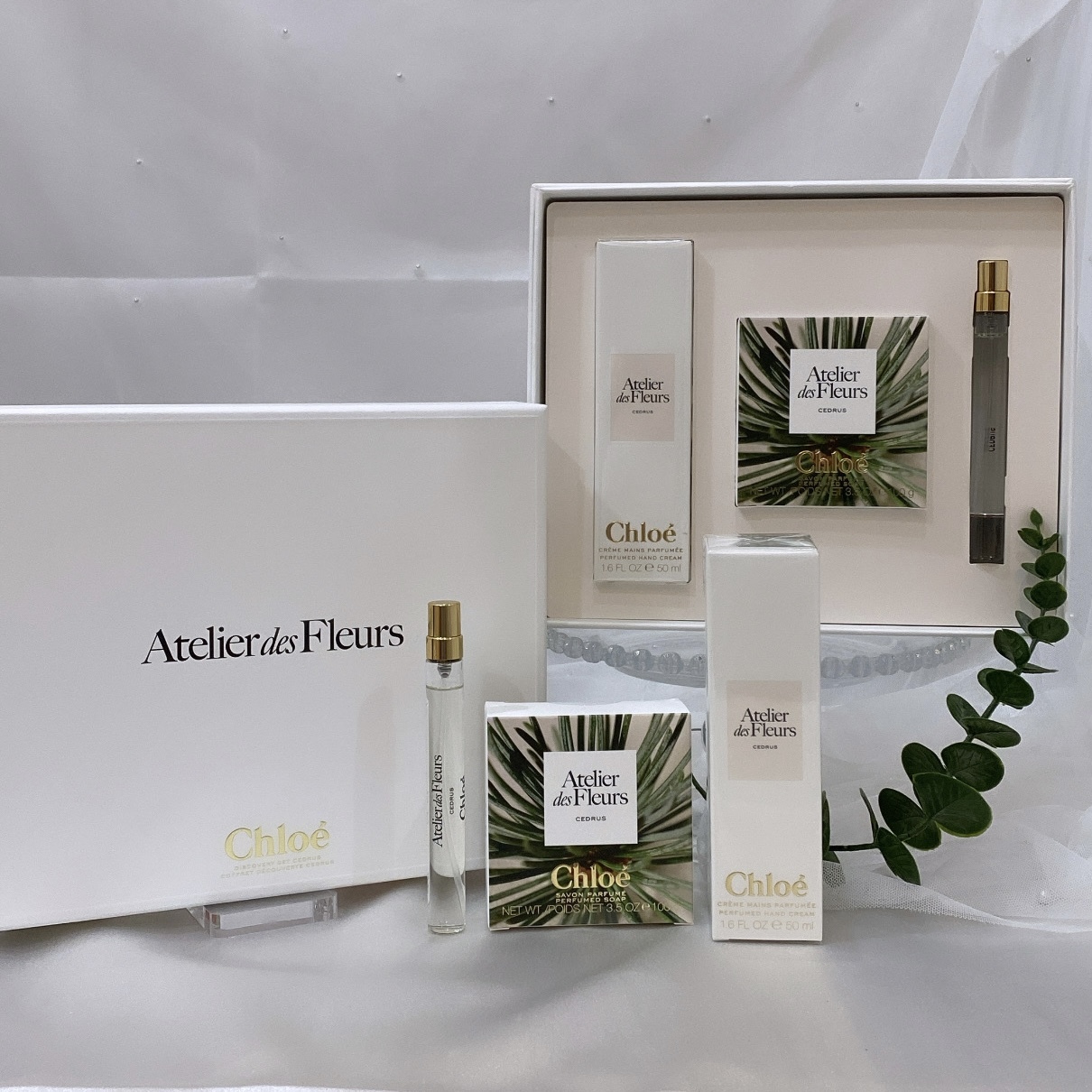 Chloe 仙境花園系列 北國雪松家族典雅禮盒