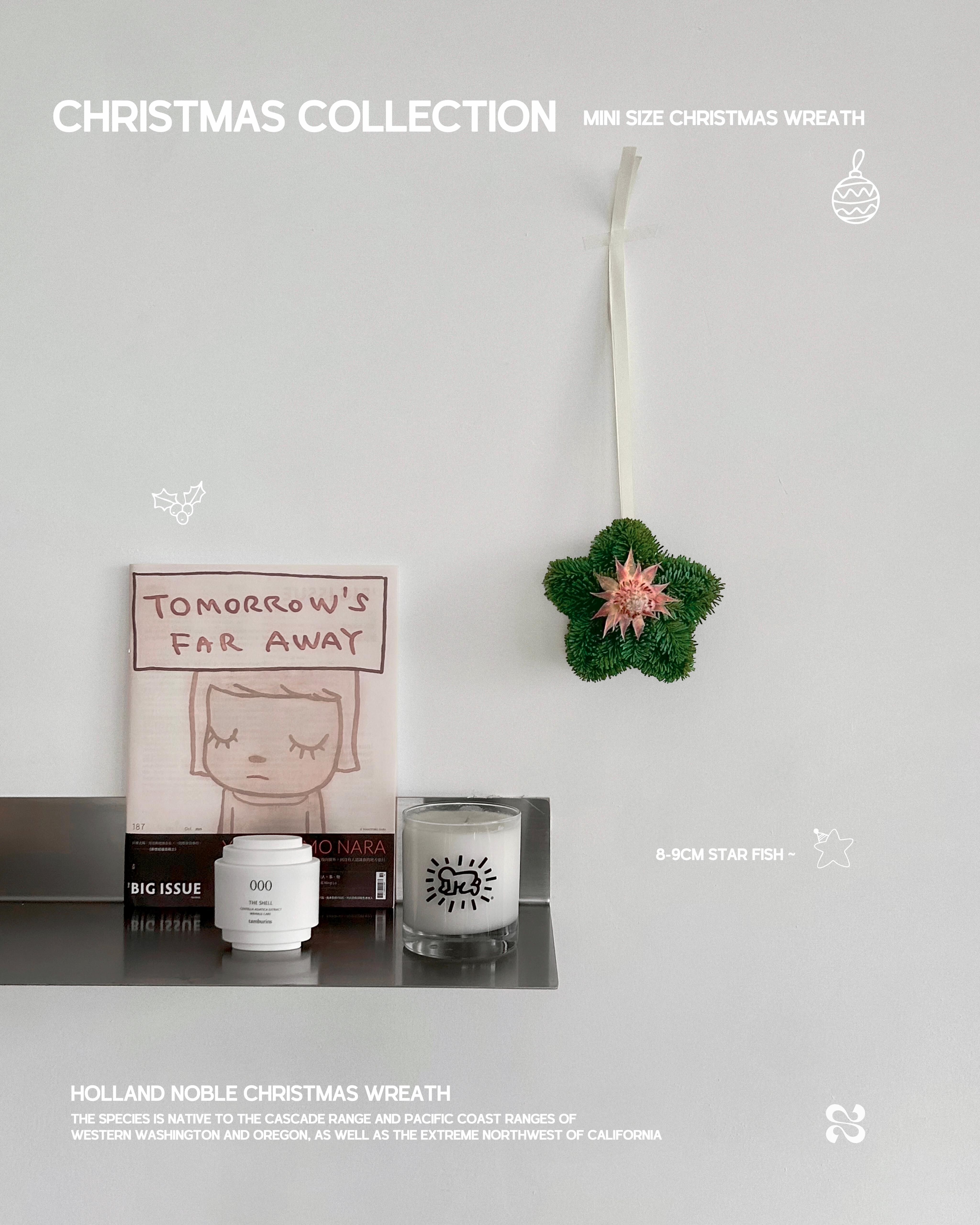 聖誕小海星 - 荷蘭貴族松掛件🌟