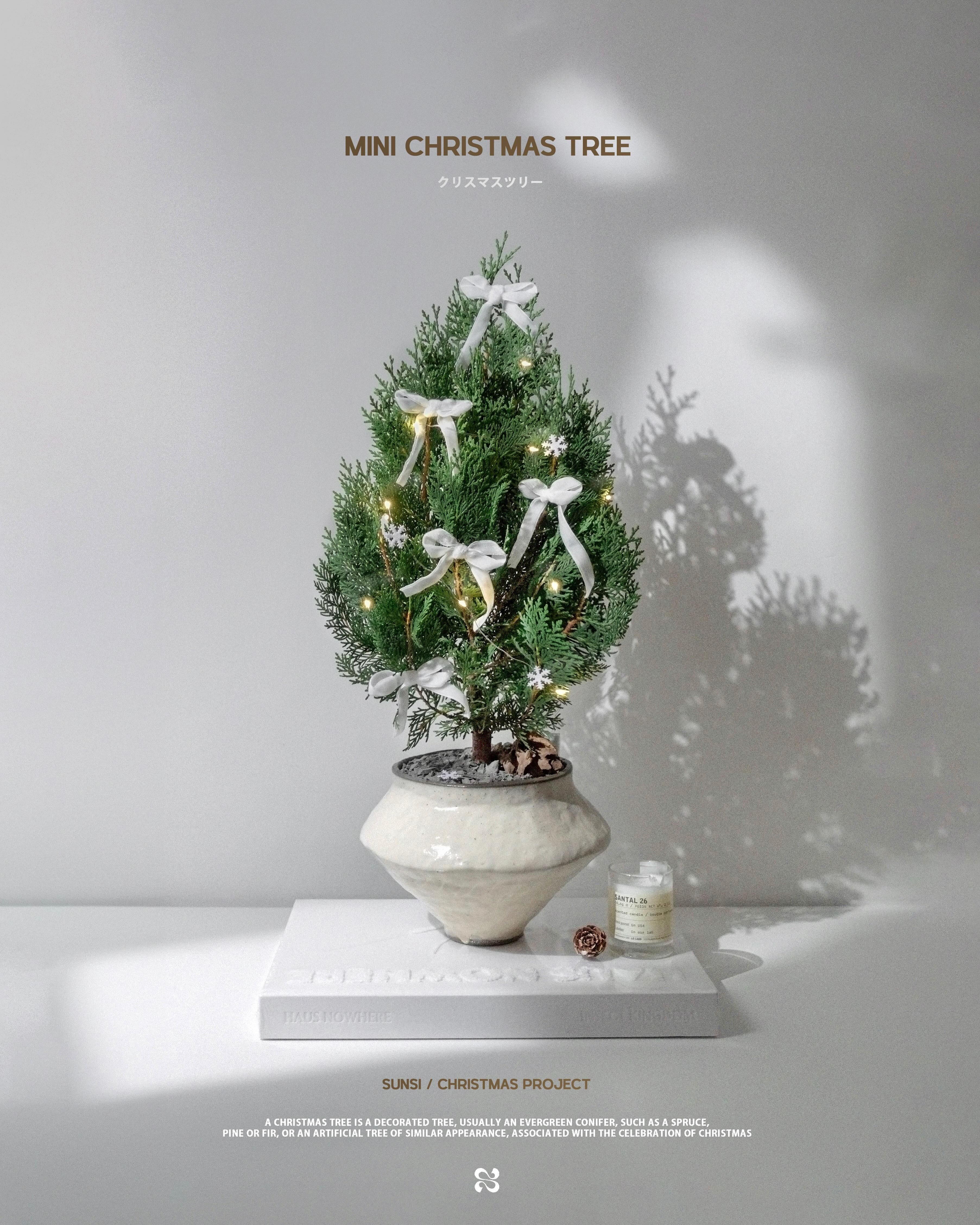 現貨－特別版蝴蝶結聖誕樹