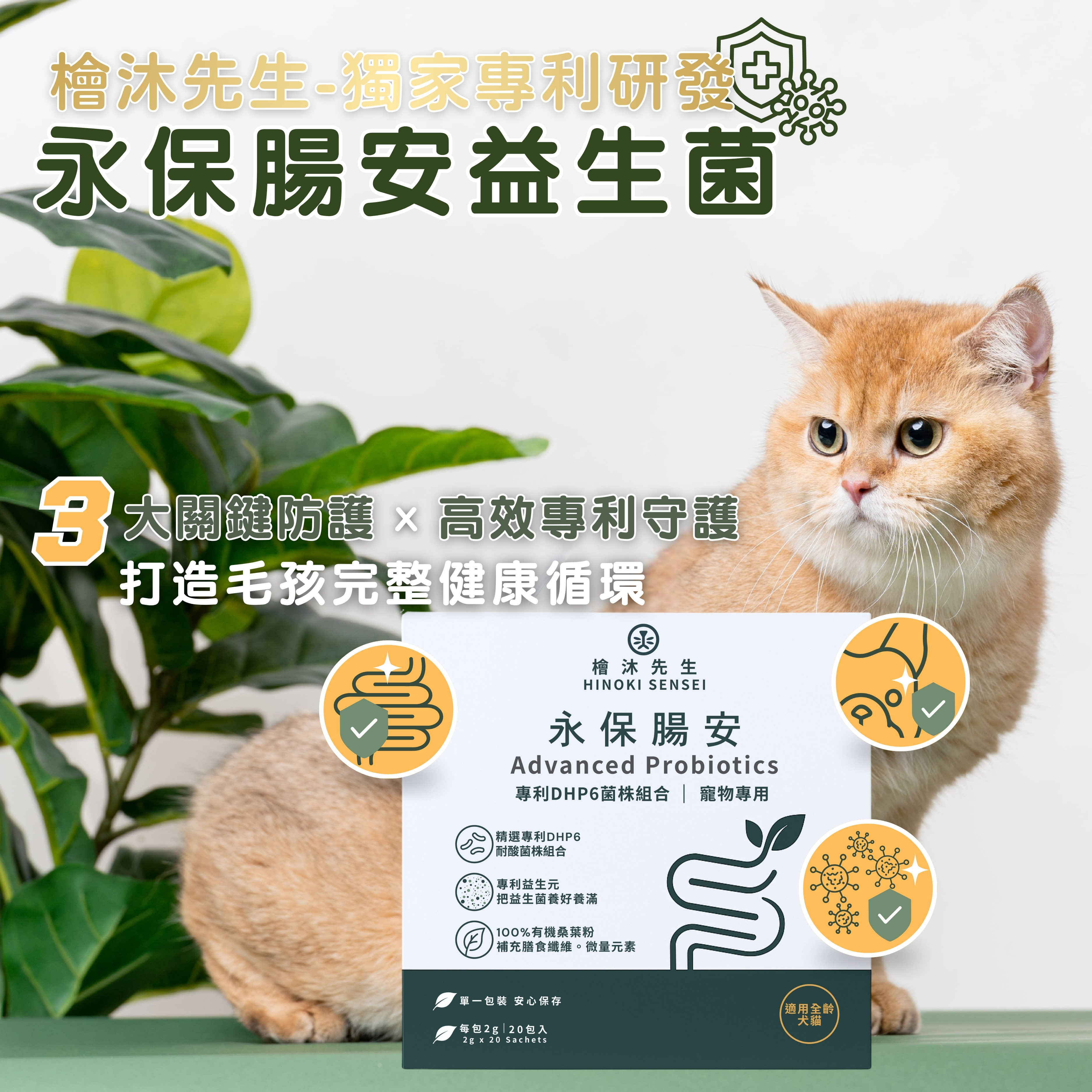 檜沐-永保腸安狗貓專用益生菌