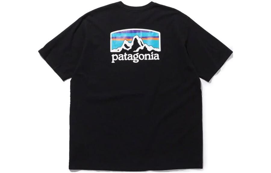【代購】Patagonia Fitz Roy Horizons T Shirt Men's 38501