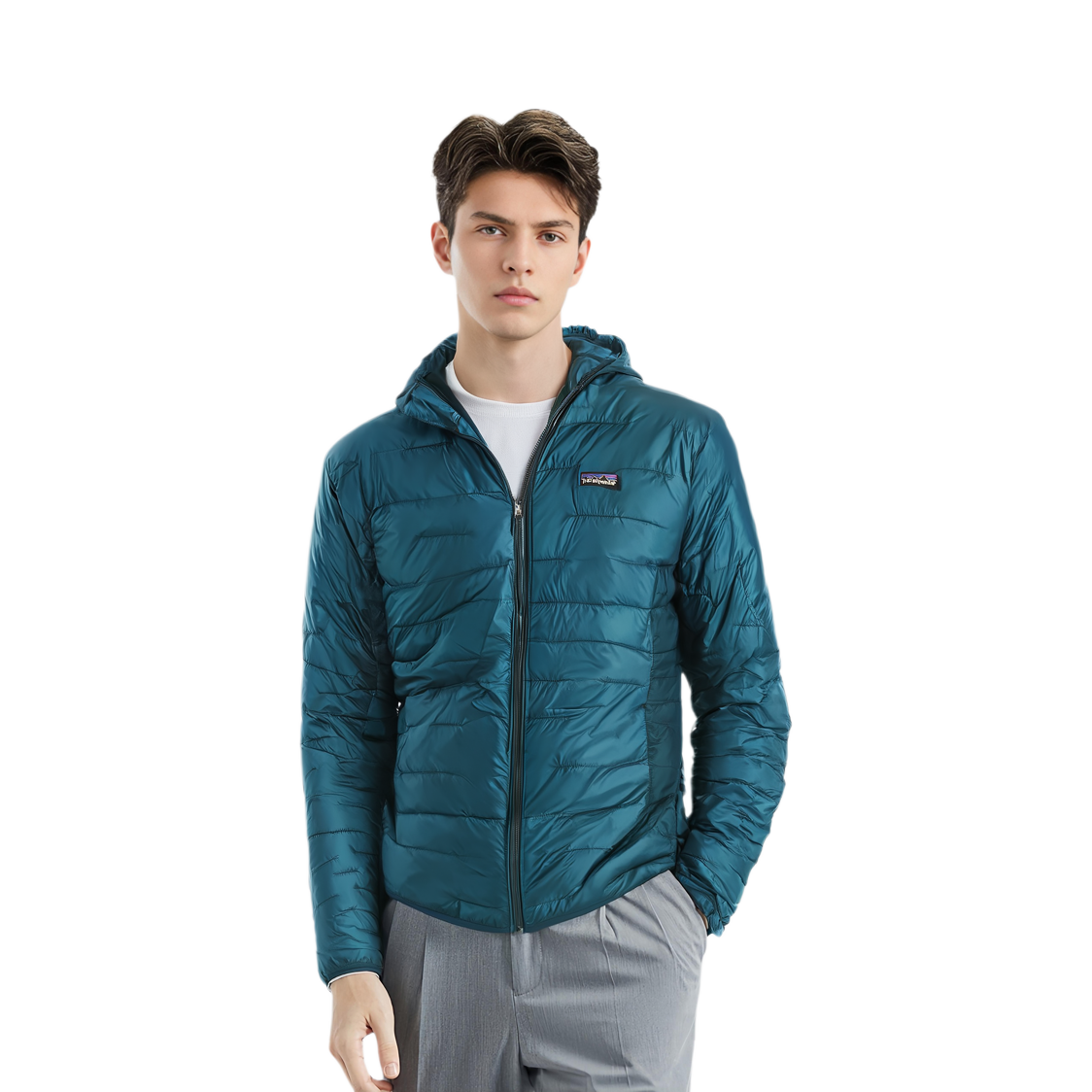 【代購】Patagonia Micro Puff Puffer Jackets Men's 84030