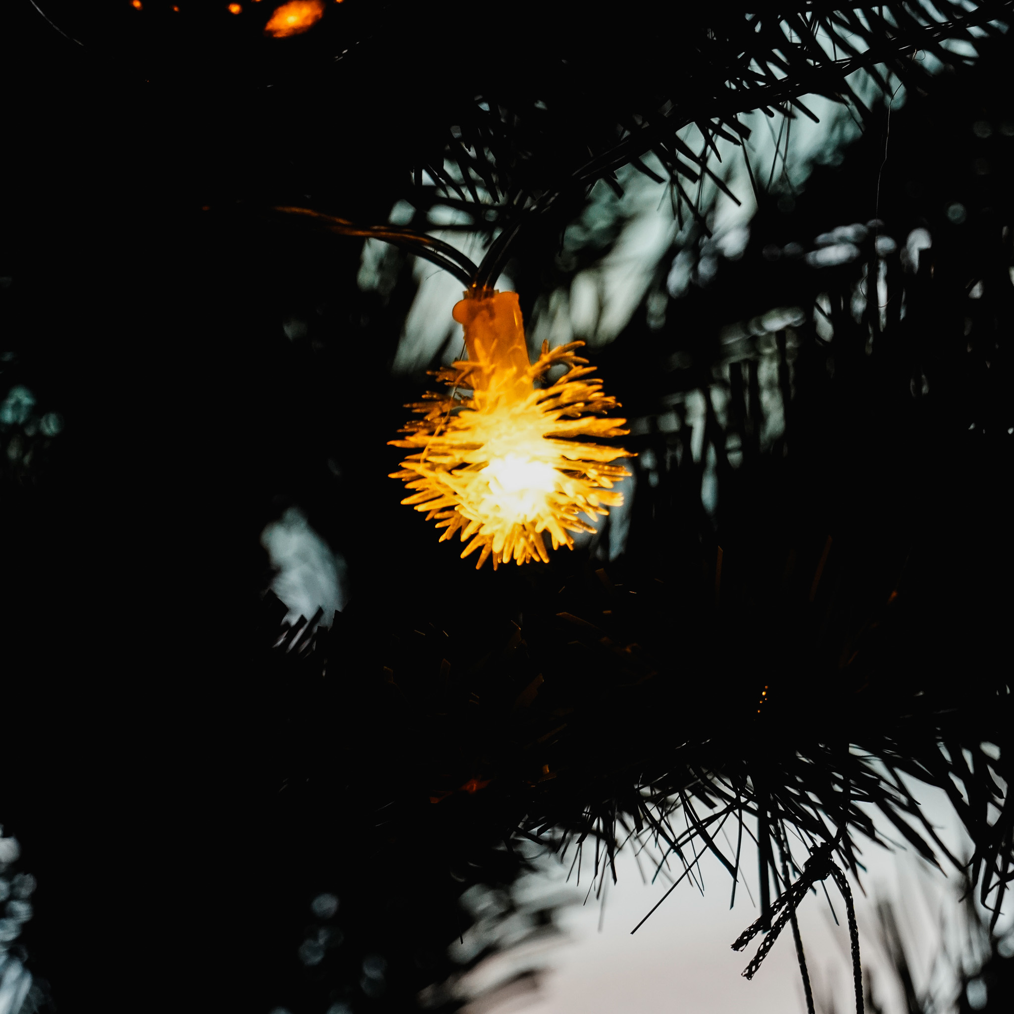 LED聖誕裝飾佈置燈 共兩款