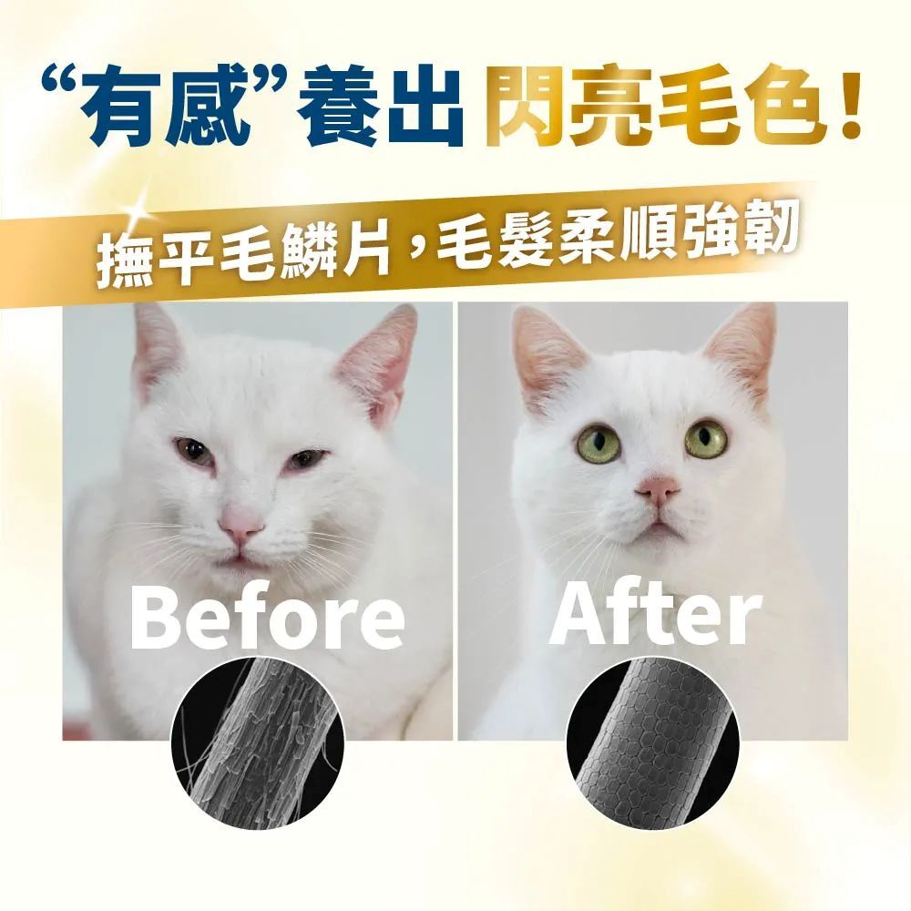 毛掌醫學｜犬貓 磷蝦魚油罐 16ml  (限時優惠活動)