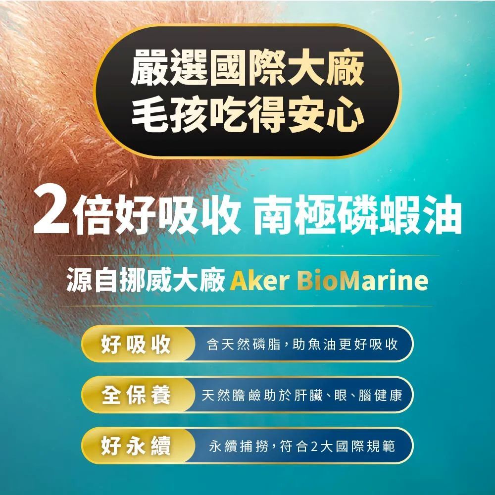 毛掌醫學｜犬貓 磷蝦魚油罐 16ml  (限時優惠活動)