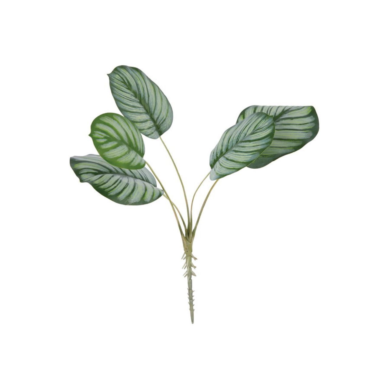 人造葉 蘋果芋 全長55cm