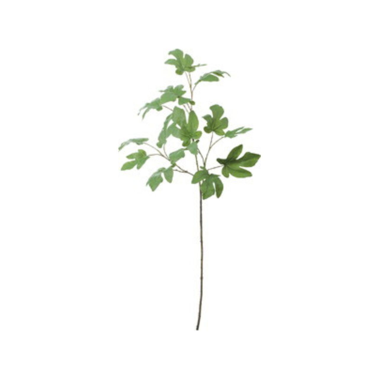 人造葉 無花果葉長枝