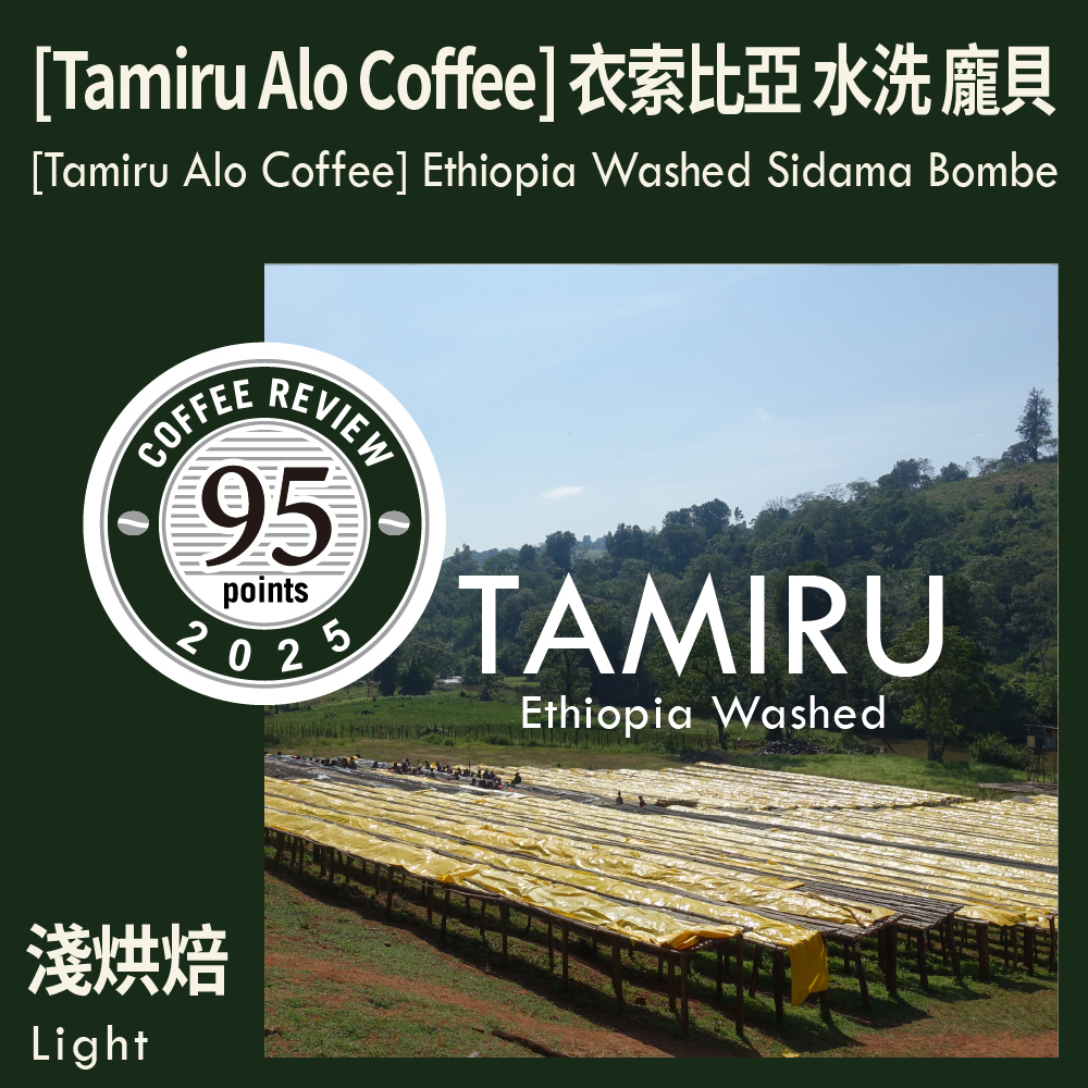 CR95-[Tamiru Alo Coffee] 衣索比亞 水洗 希達馬 龐貝