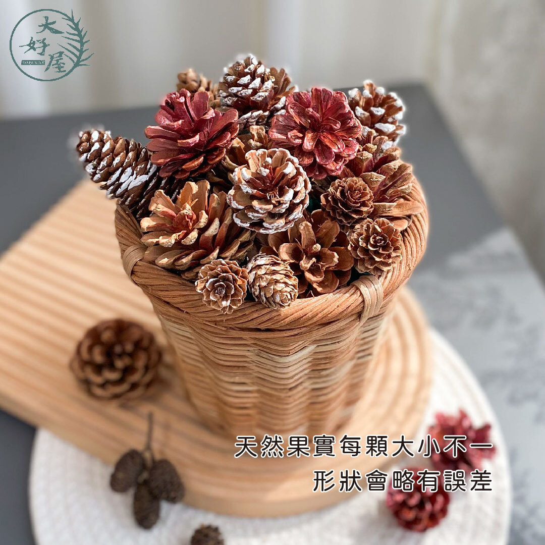 天然松果 / 聖誕節松果