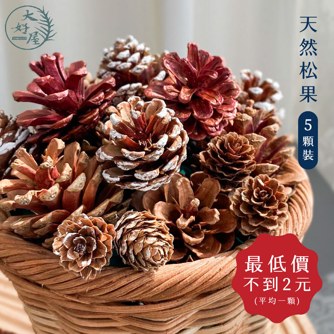天然松果 / 聖誕節松果