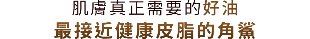最接近健康皮脂的角鯊
