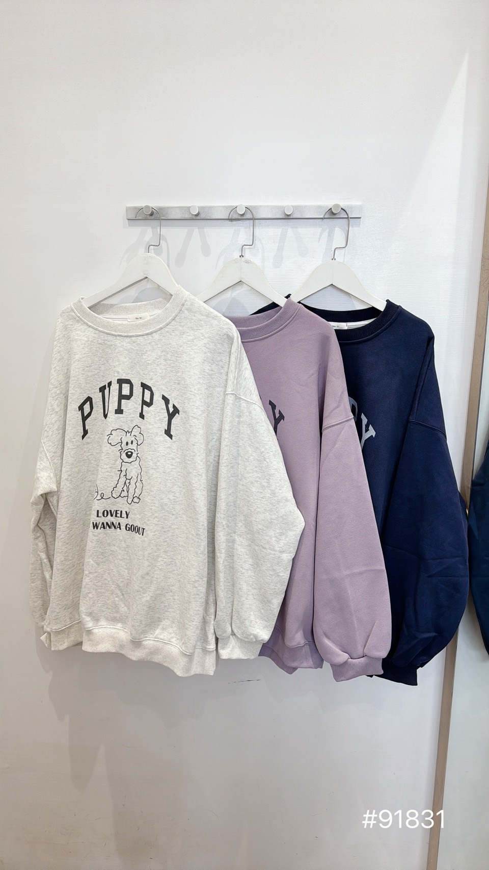 PUPPY狗狗大學踢