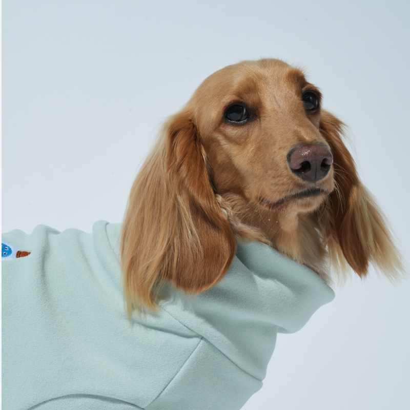 puppygallery｜雪怪素面四腳衣 薄荷綠