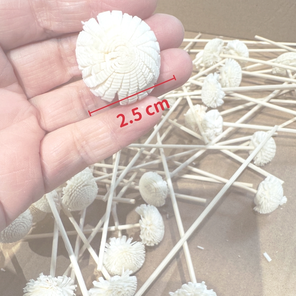 【台灣現貨速發】迷你索拉花 太陽玫瑰｜面寬2.5-3公分, 原色＆噴色｜開心菊 擴香花 通草花｜ 乾燥花 蓪草 索拉