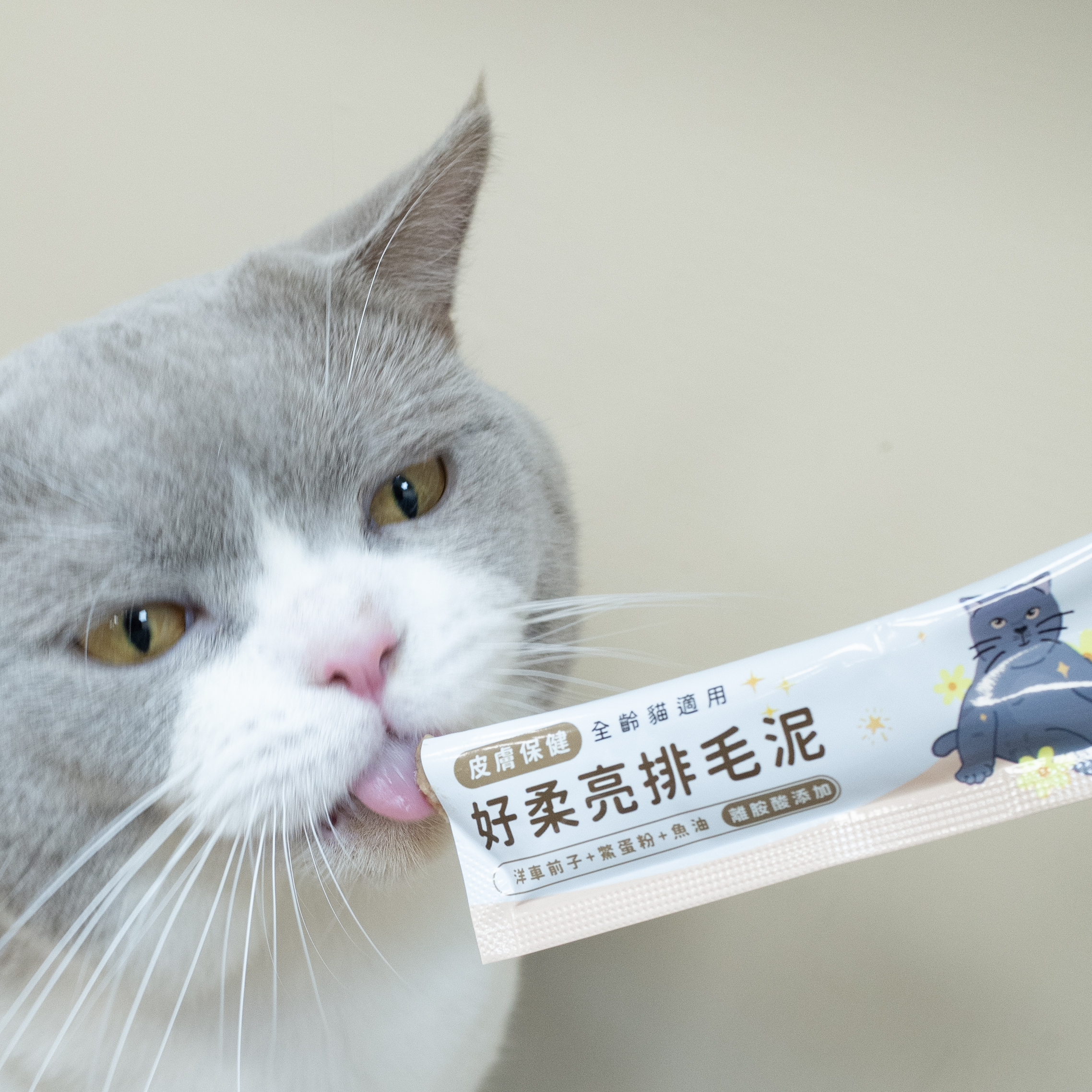 HOMI毛與家 好柔亮排毛泥 🥳超值五盒組🥳