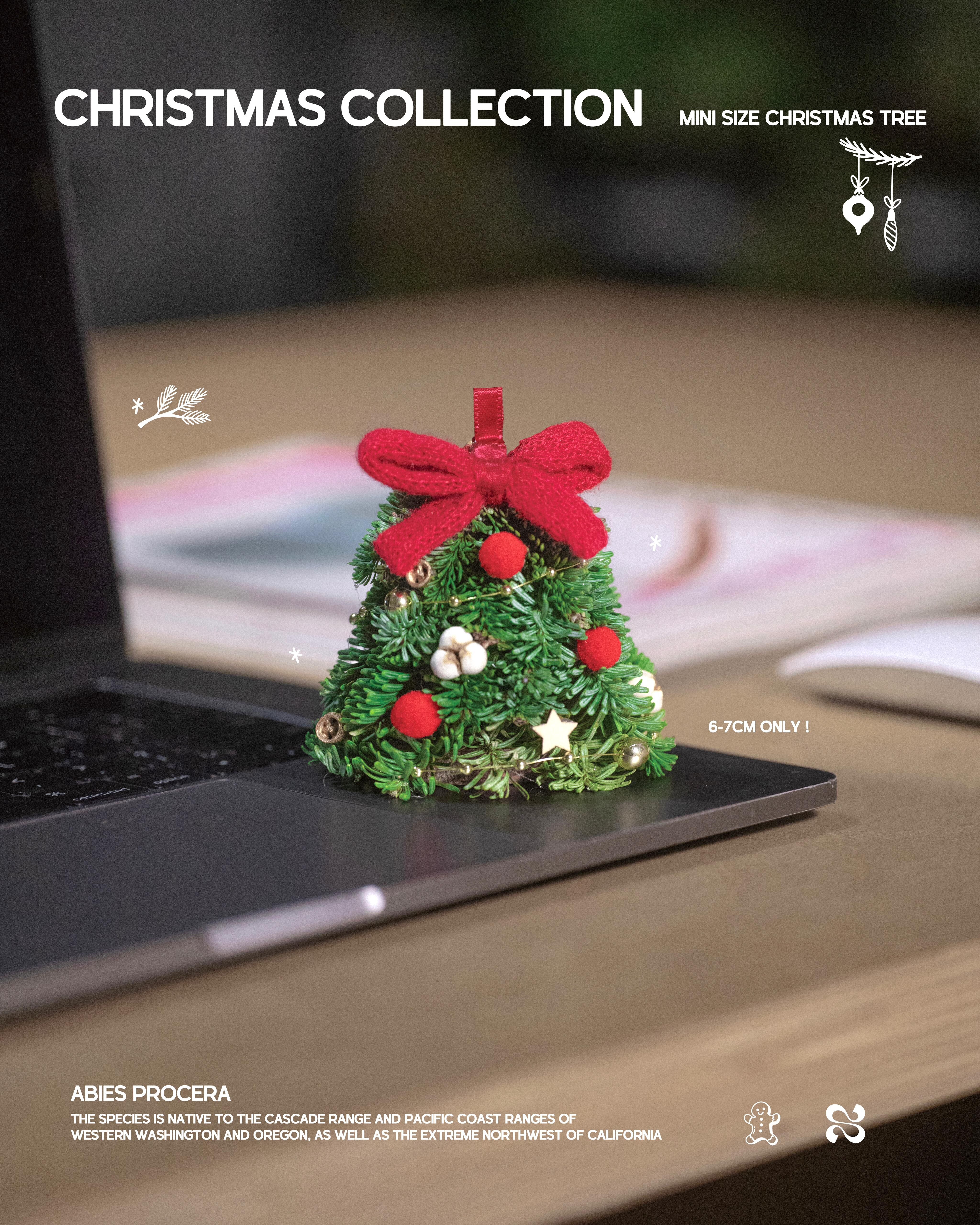 超迷你聖誕樹！一手就能握住的冬日氣息🎄