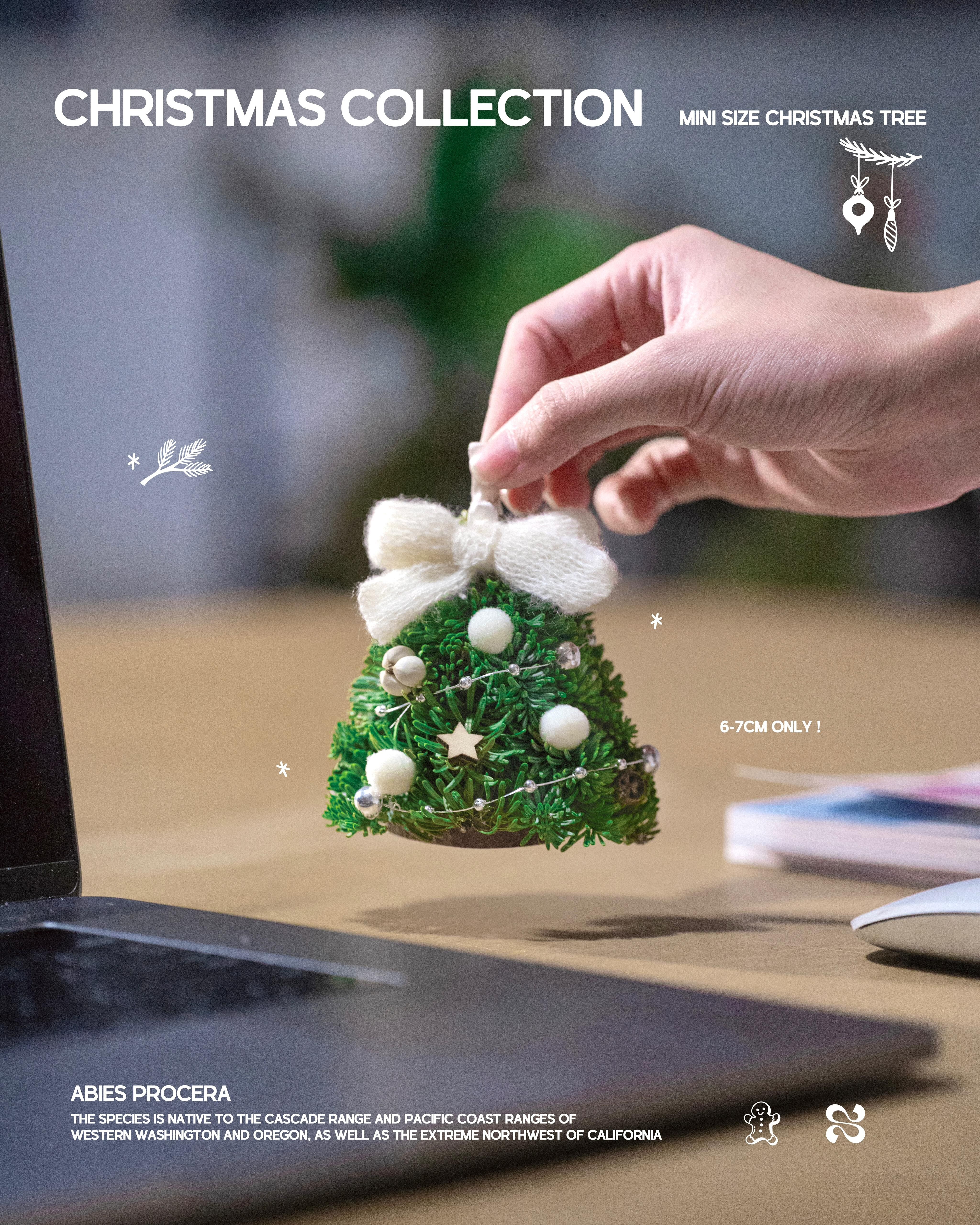 超迷你聖誕樹！一手就能握住的冬日氣息🎄