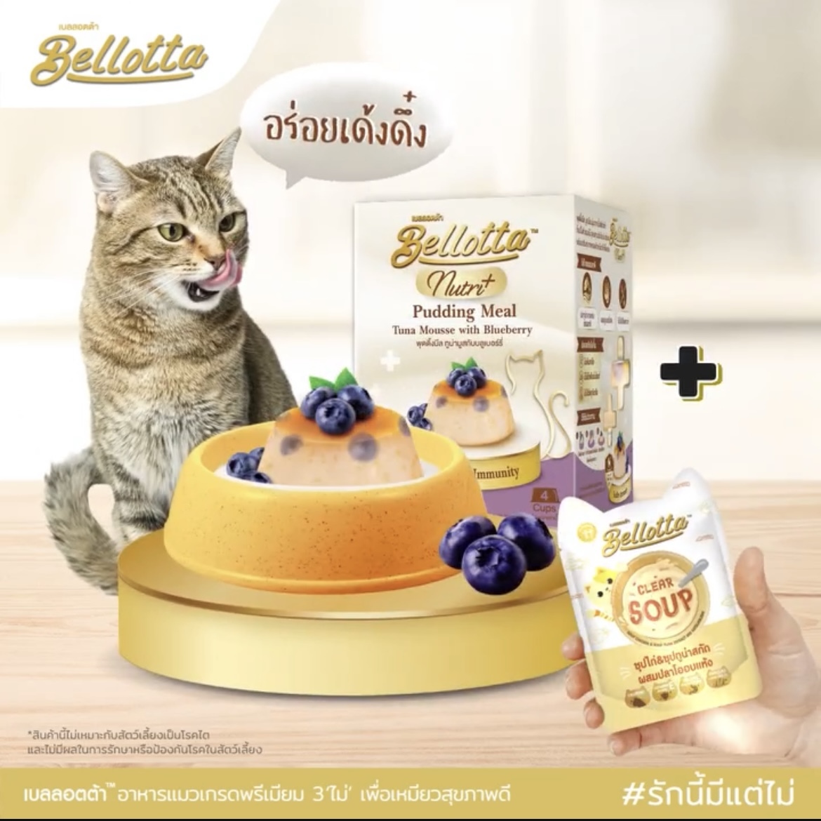 （4款）泰國Bellotta Nutri+ Pudding Meal 貓布丁慕斯餐