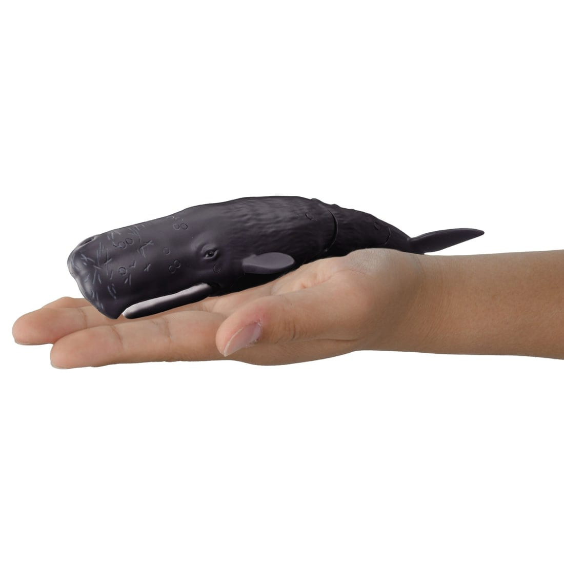 Takara Tomy Ania 模型AL-34 抹香鯨