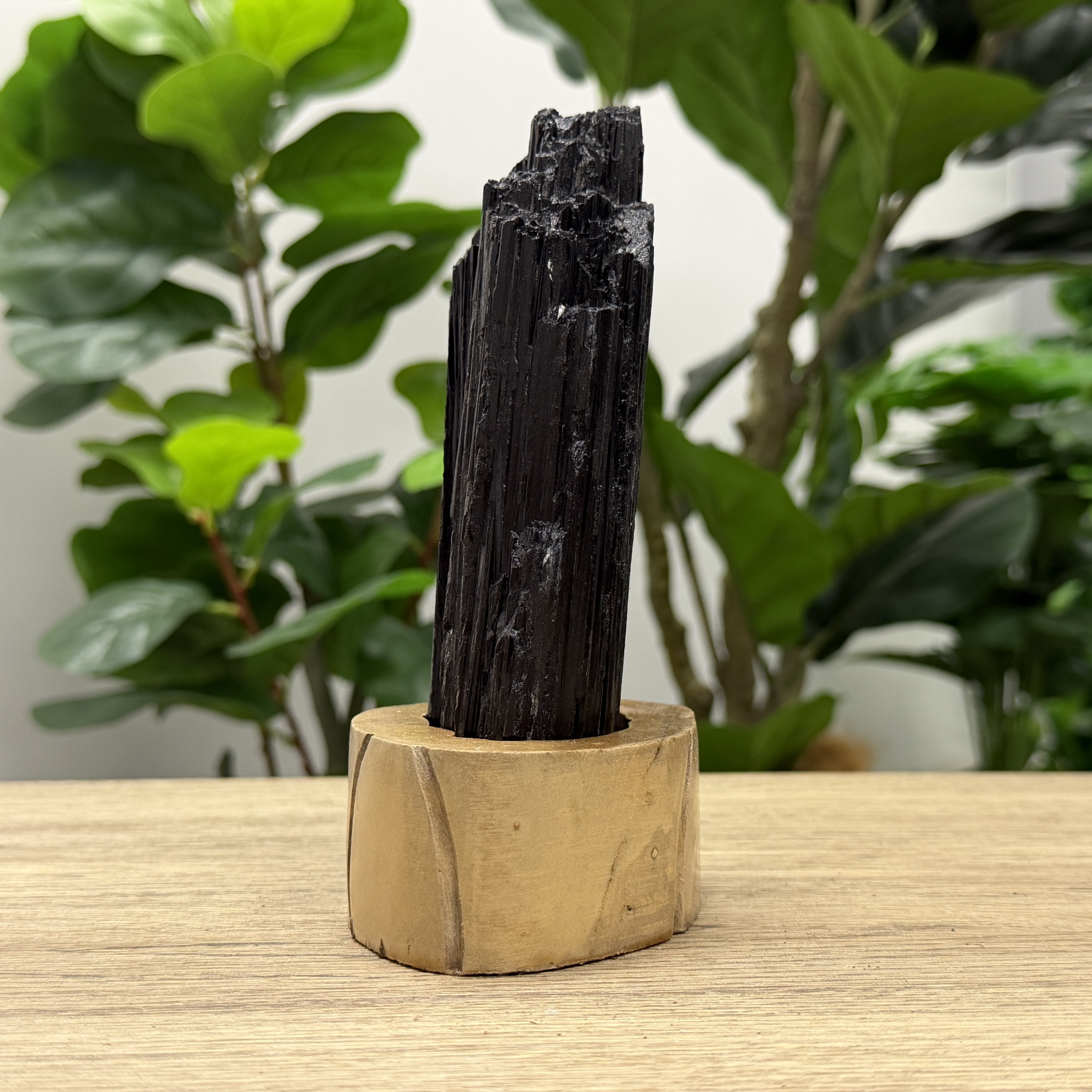 黑碧璽/電氣石 868G TRR1796