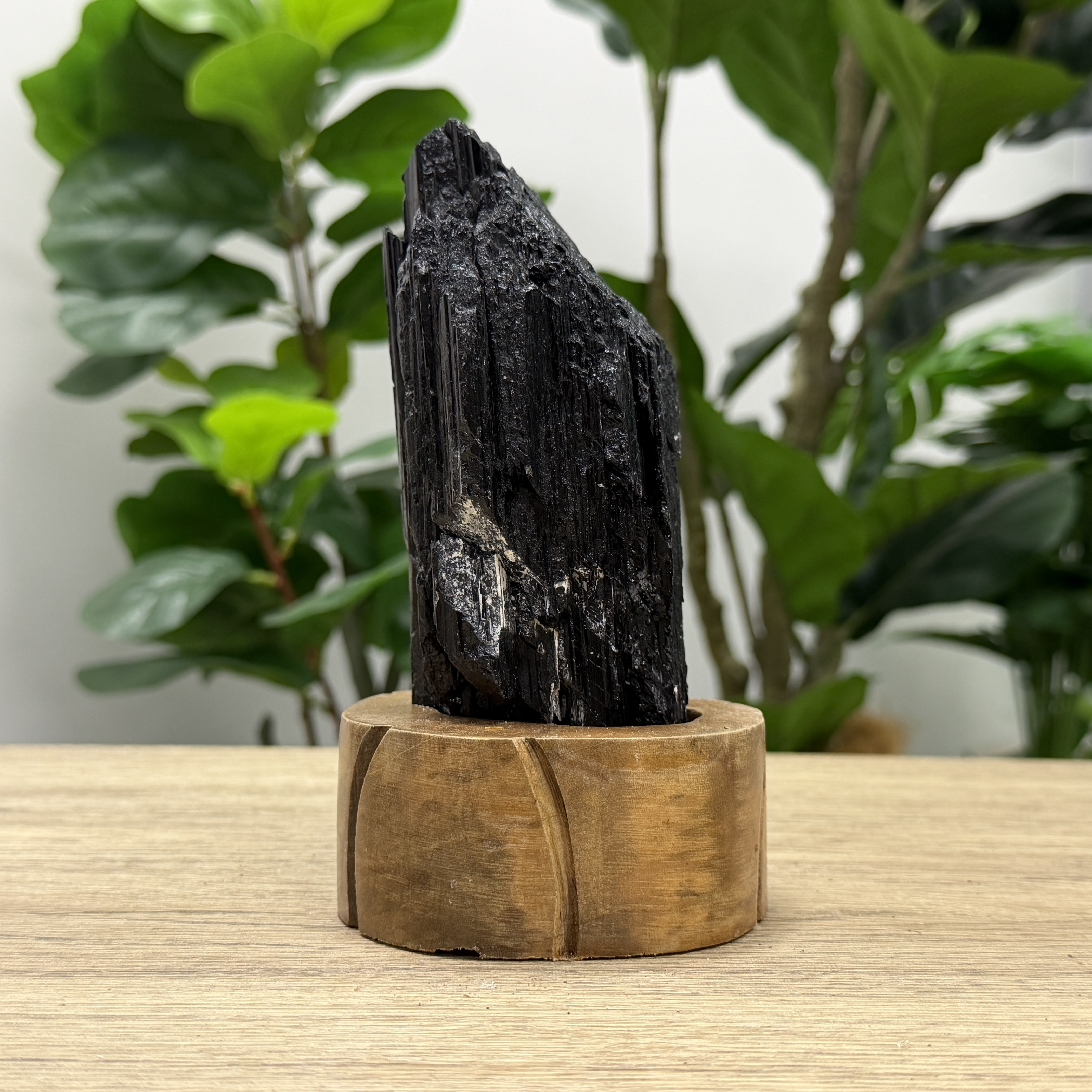 黑碧璽/電氣石 876G TRR1795