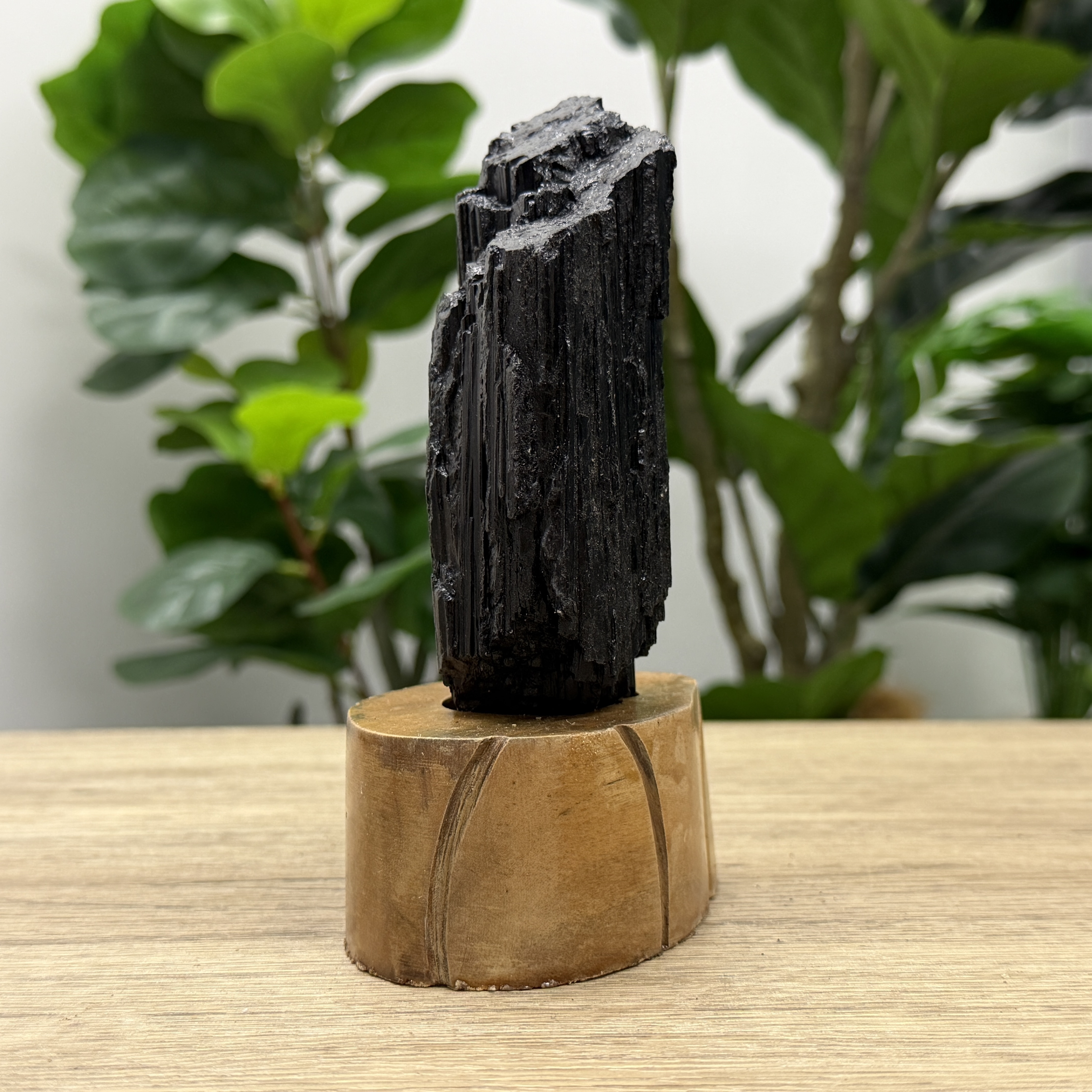 黑碧璽/電氣石 559G TRR1793