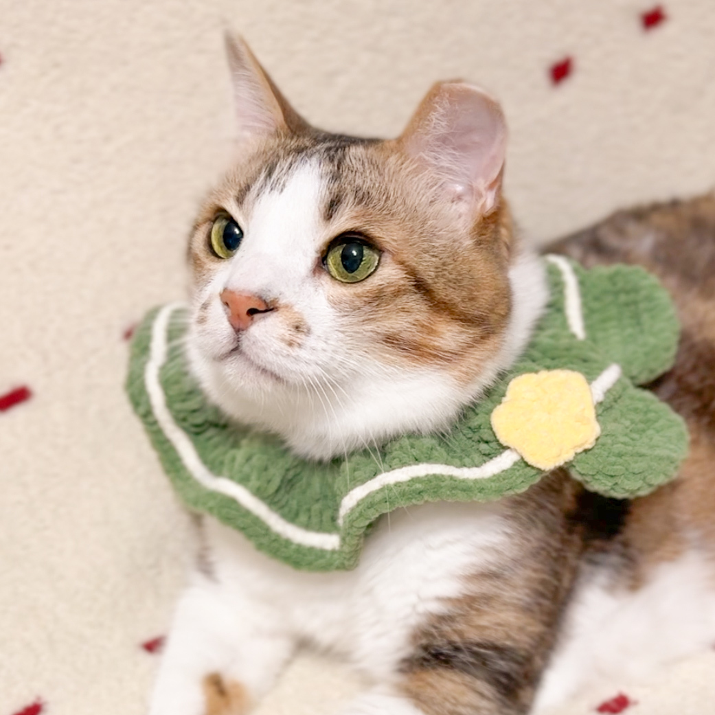 聖誕熊熊領巾・松綠星星