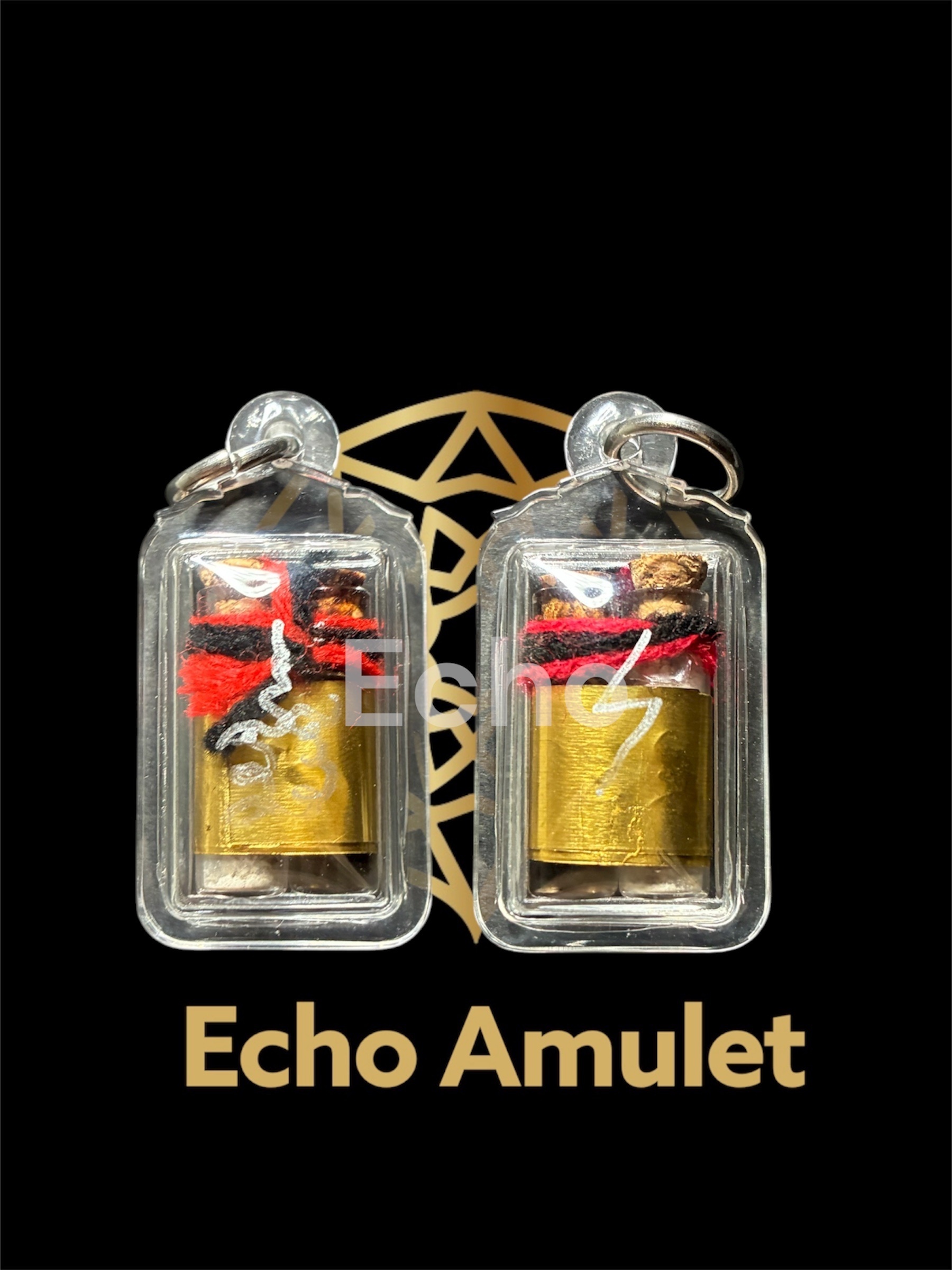 阿贊望打 皮固派粉