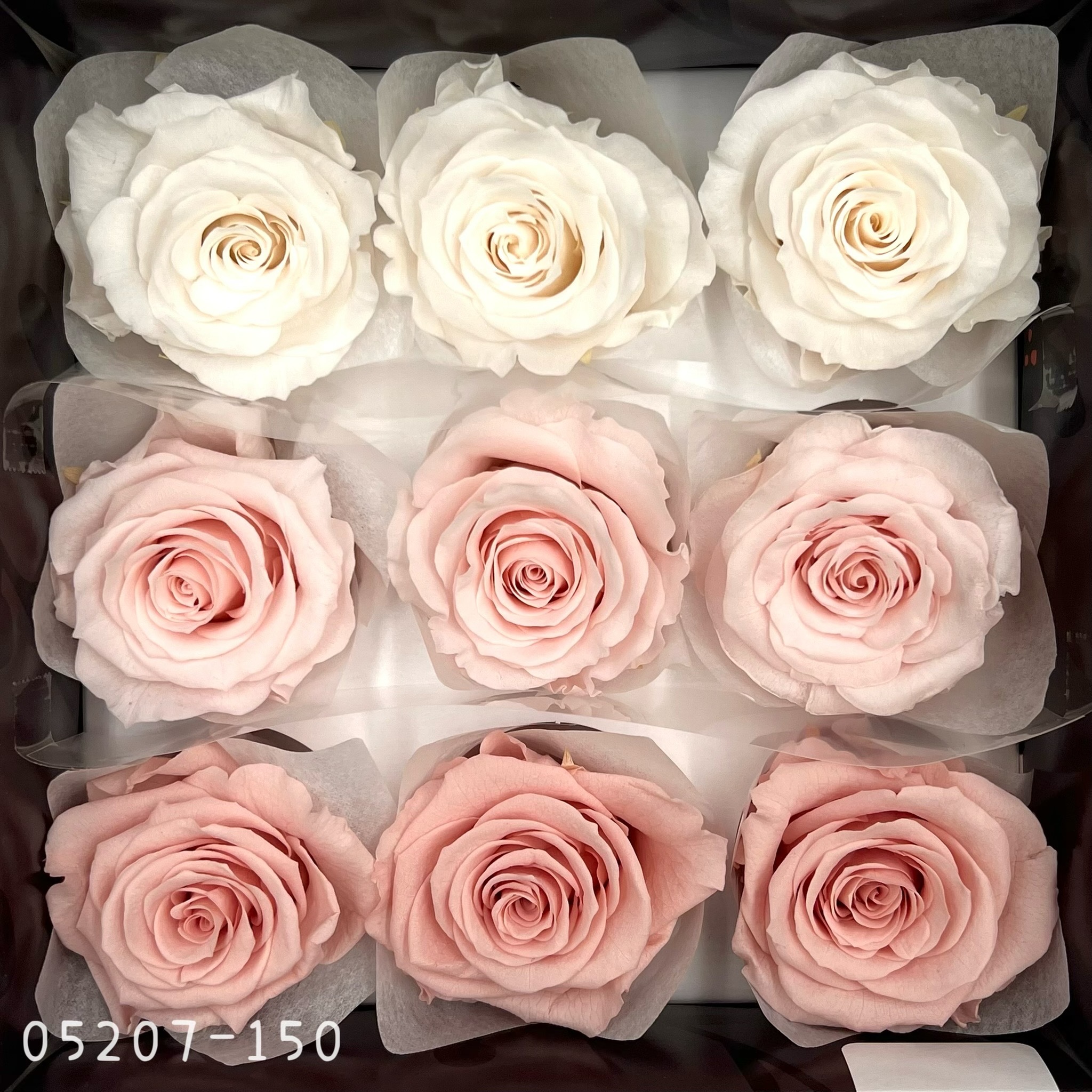 日本不凋大輪玫瑰(M-9朵) 05207-150