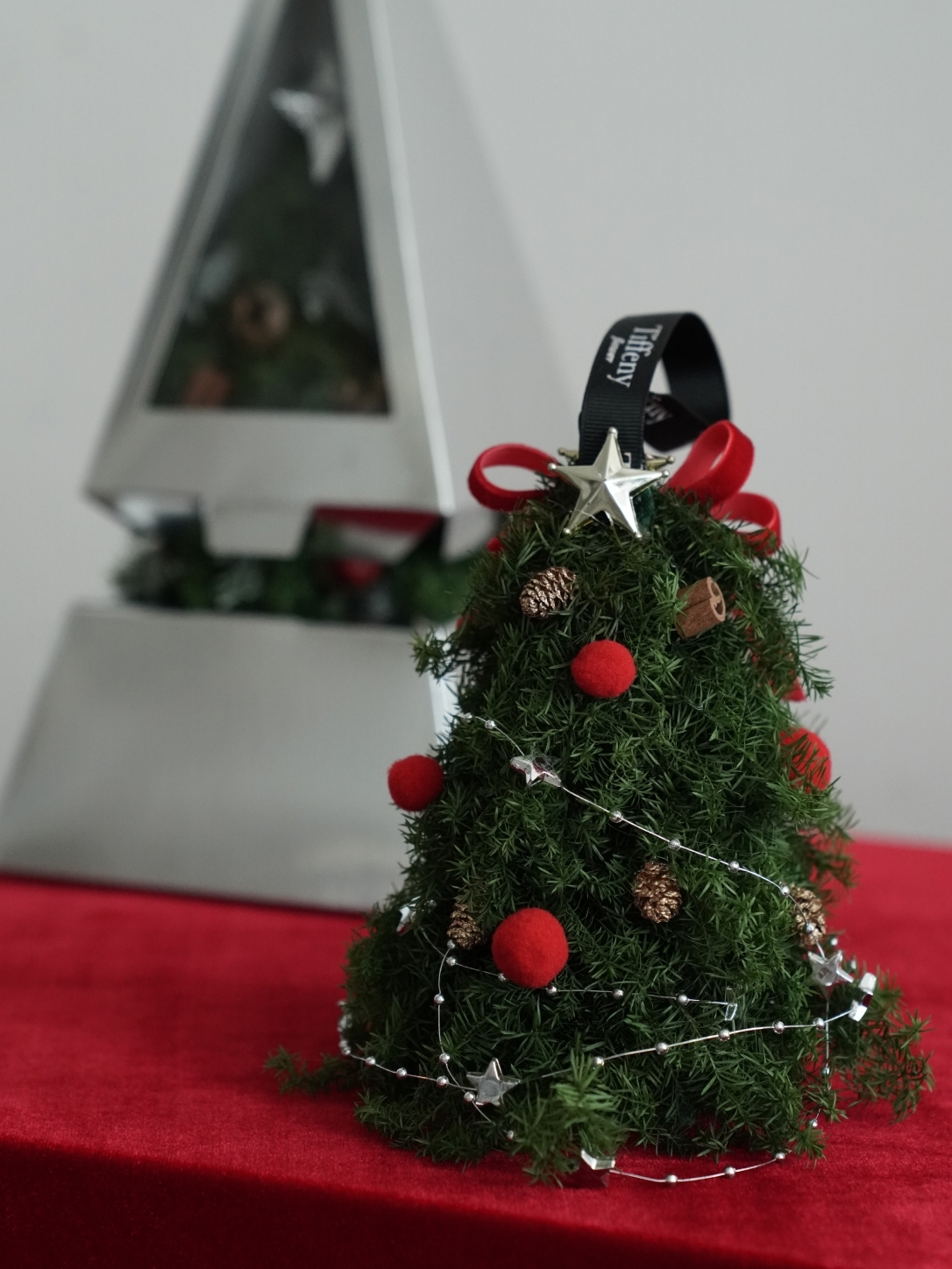 【 永生 】可愛永生松聖誕樹