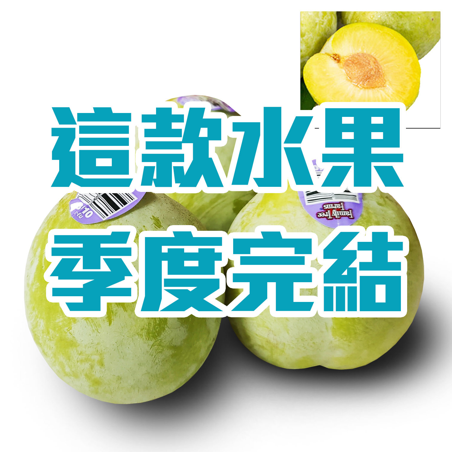 美國綠寶石布冧 [3個]