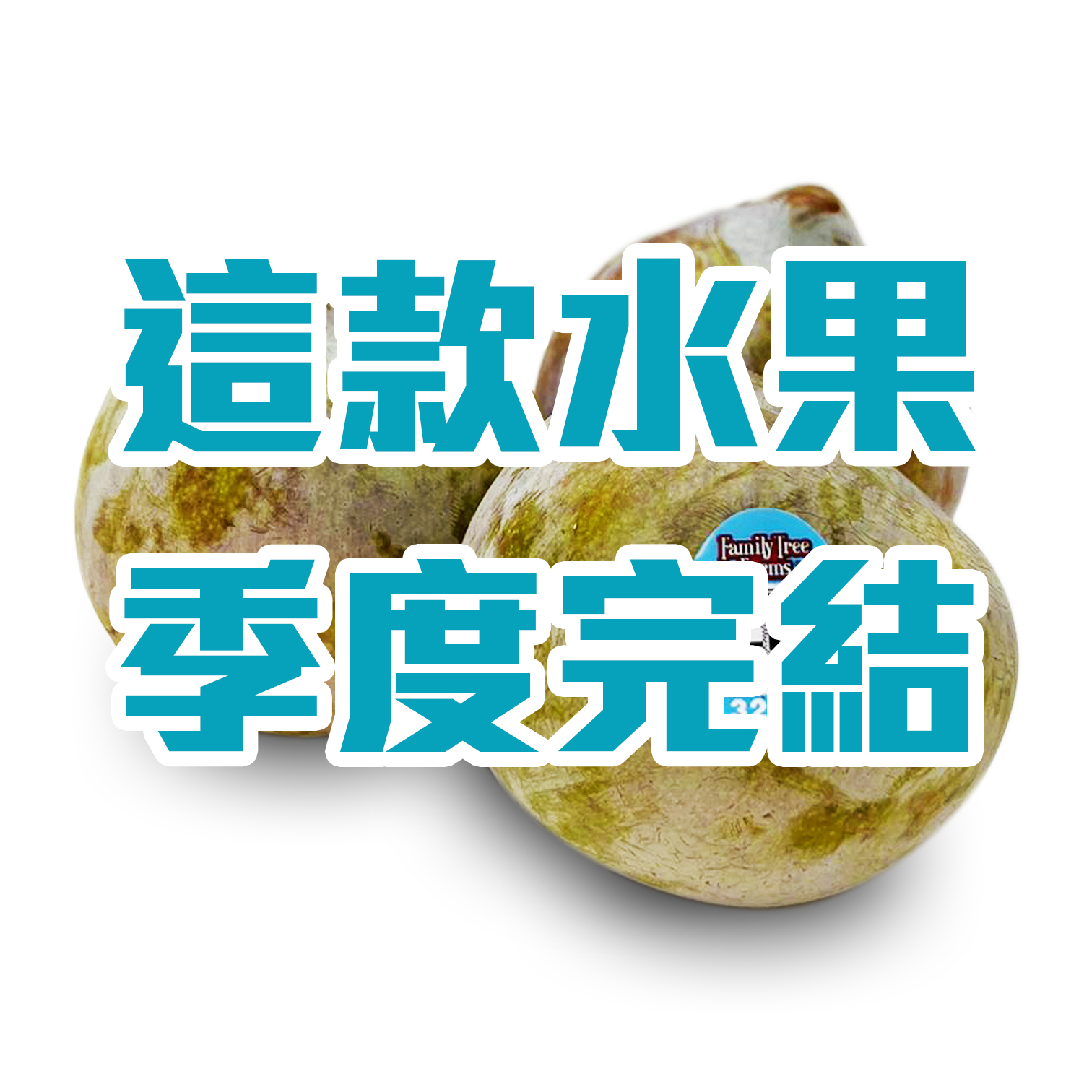 美國鰐魚蛋布冧 [3個]