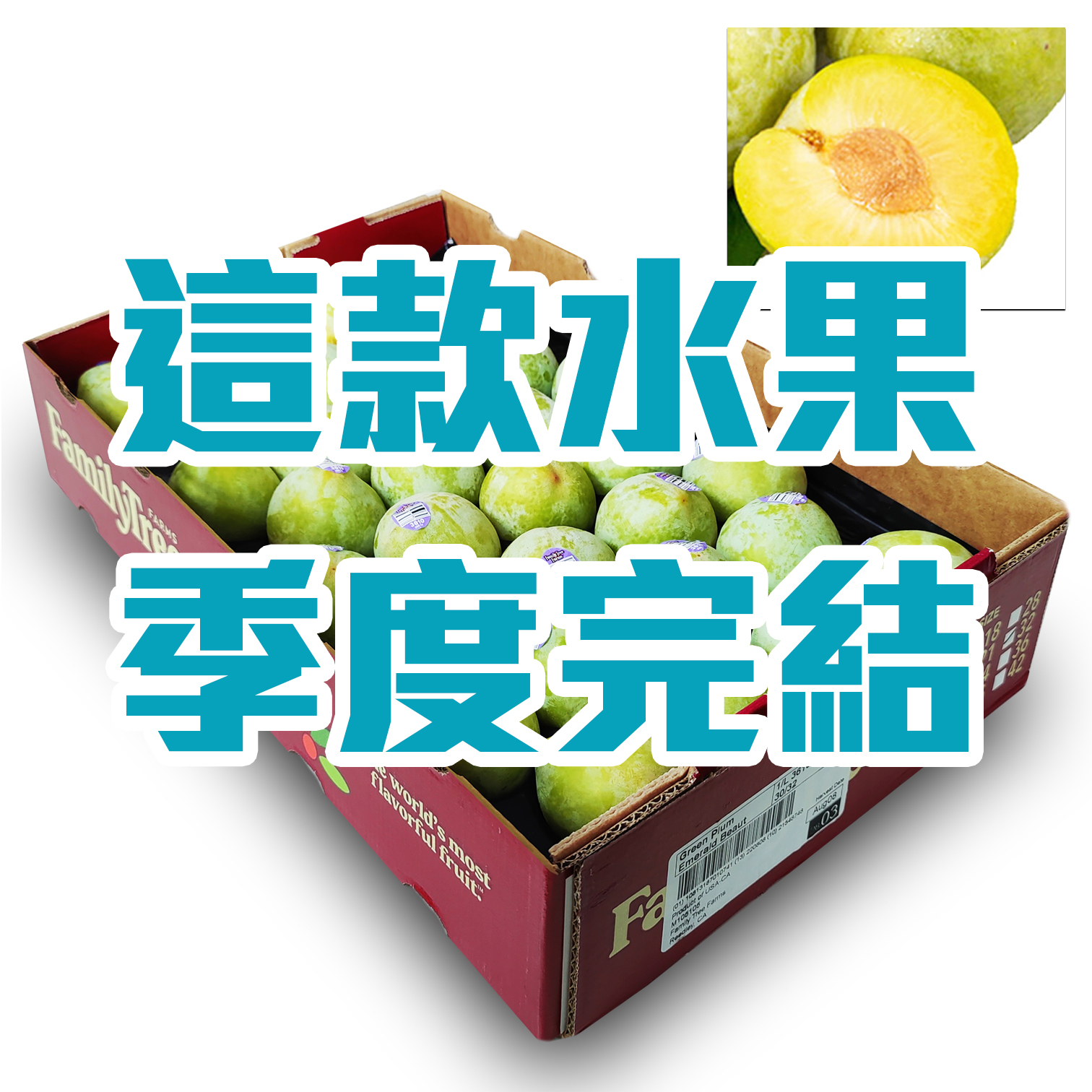 美國綠寶石布冧 [原箱]