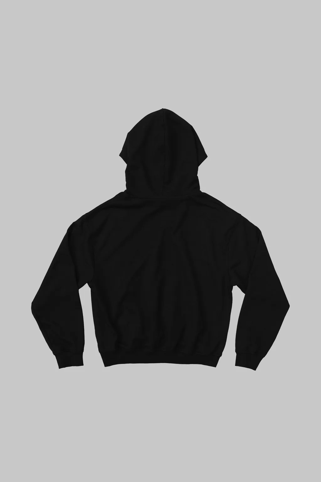 ANONYMOUS F25-LS06 Logo Hoodie