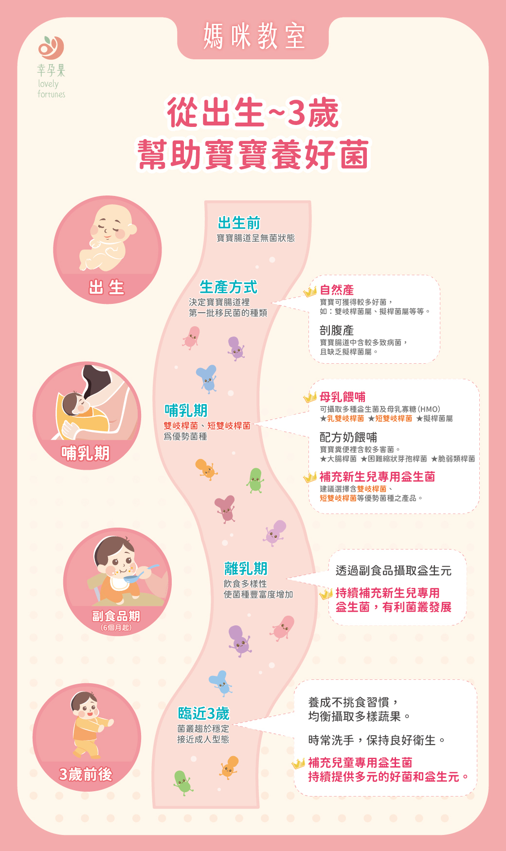 幸孕果媽咪教室 腸道菌叢是肚子裡的隱形器官？──從菌叢發展看見寶寶的健康潛力