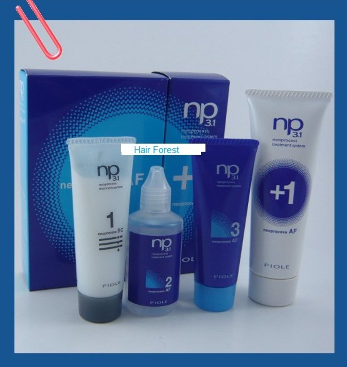 Fiole 日本 AF structural hair treatment (藍色焗油套裝)