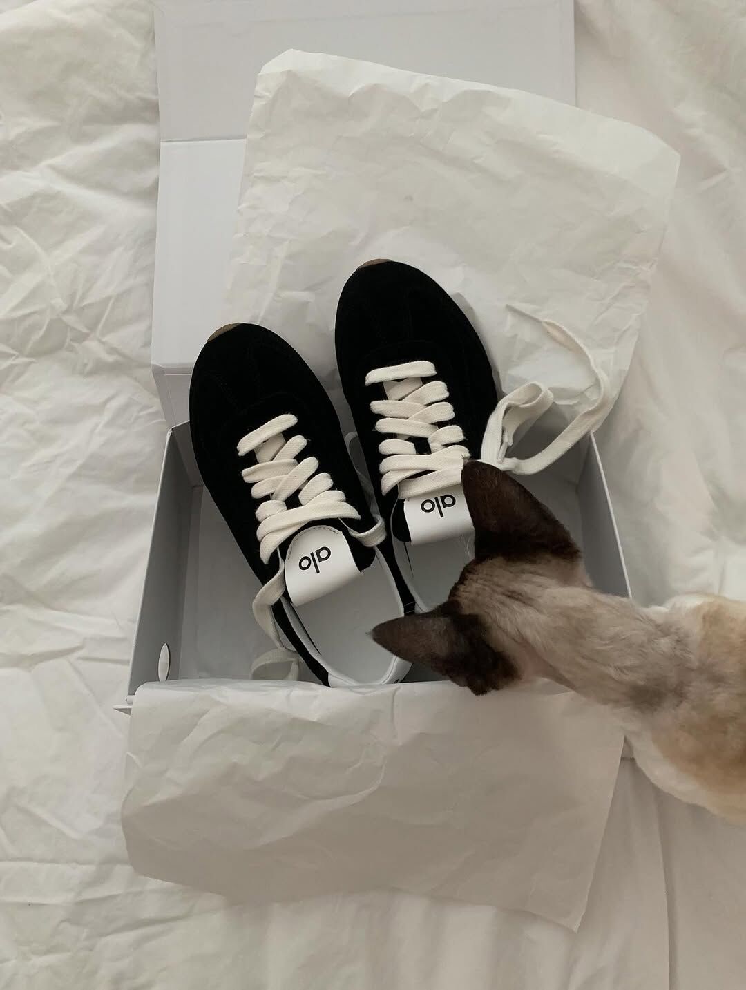 alo Sunset Sneaker 德訓鞋 黑白 奶油白 焦糖底  JISOO同款 金智秀 / 現貨