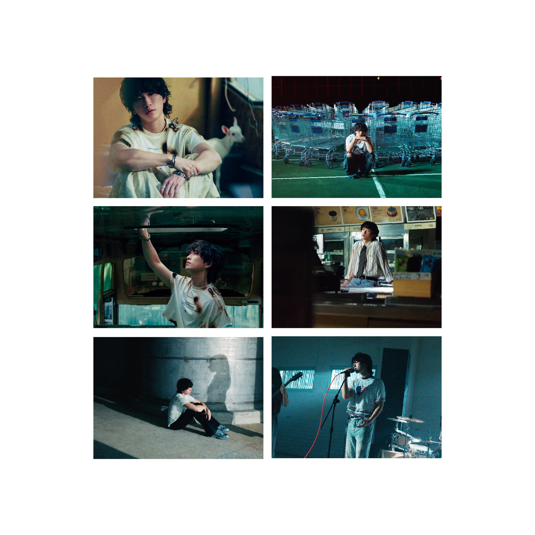 Lines MV視覺明信片組