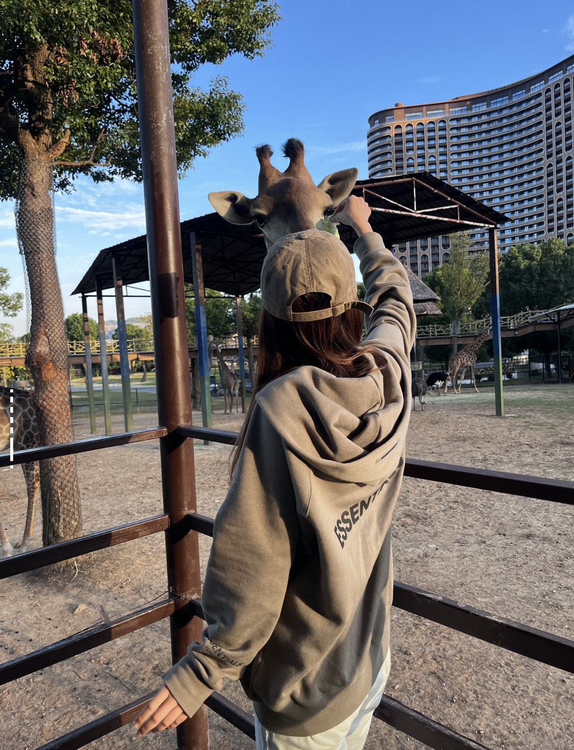 <現貨> Fear of God Essentials FW24 Holiday Core系列 加絨 長袖 連帽T 192HO246250F/192HO246257F/192HO246258F/192HO246259F