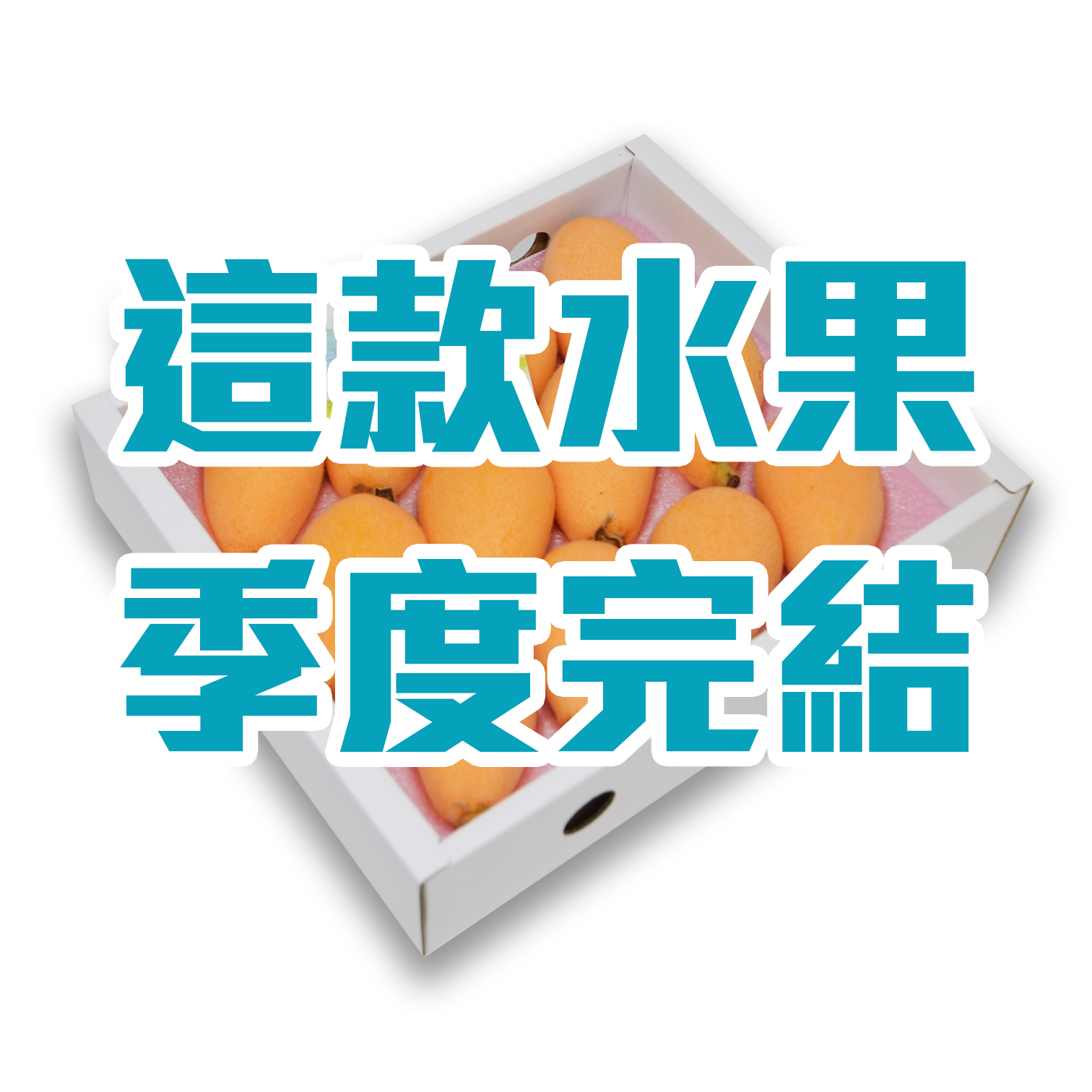 日本長崎 枇杷  [禮盒裝]