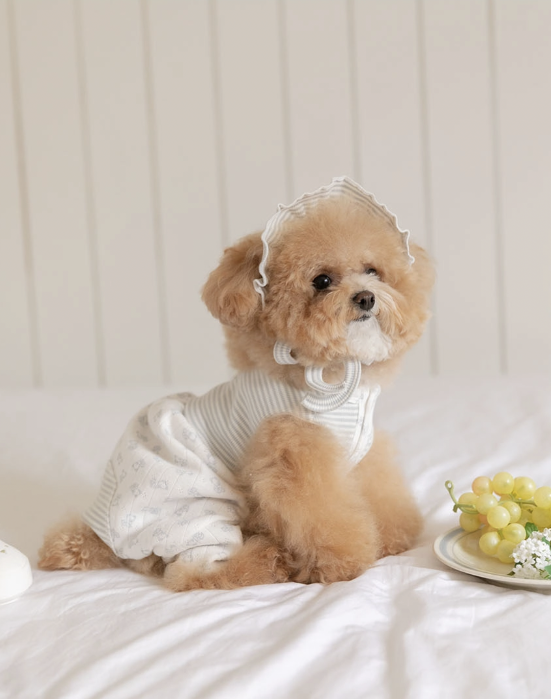 小熊寶貝連身褲