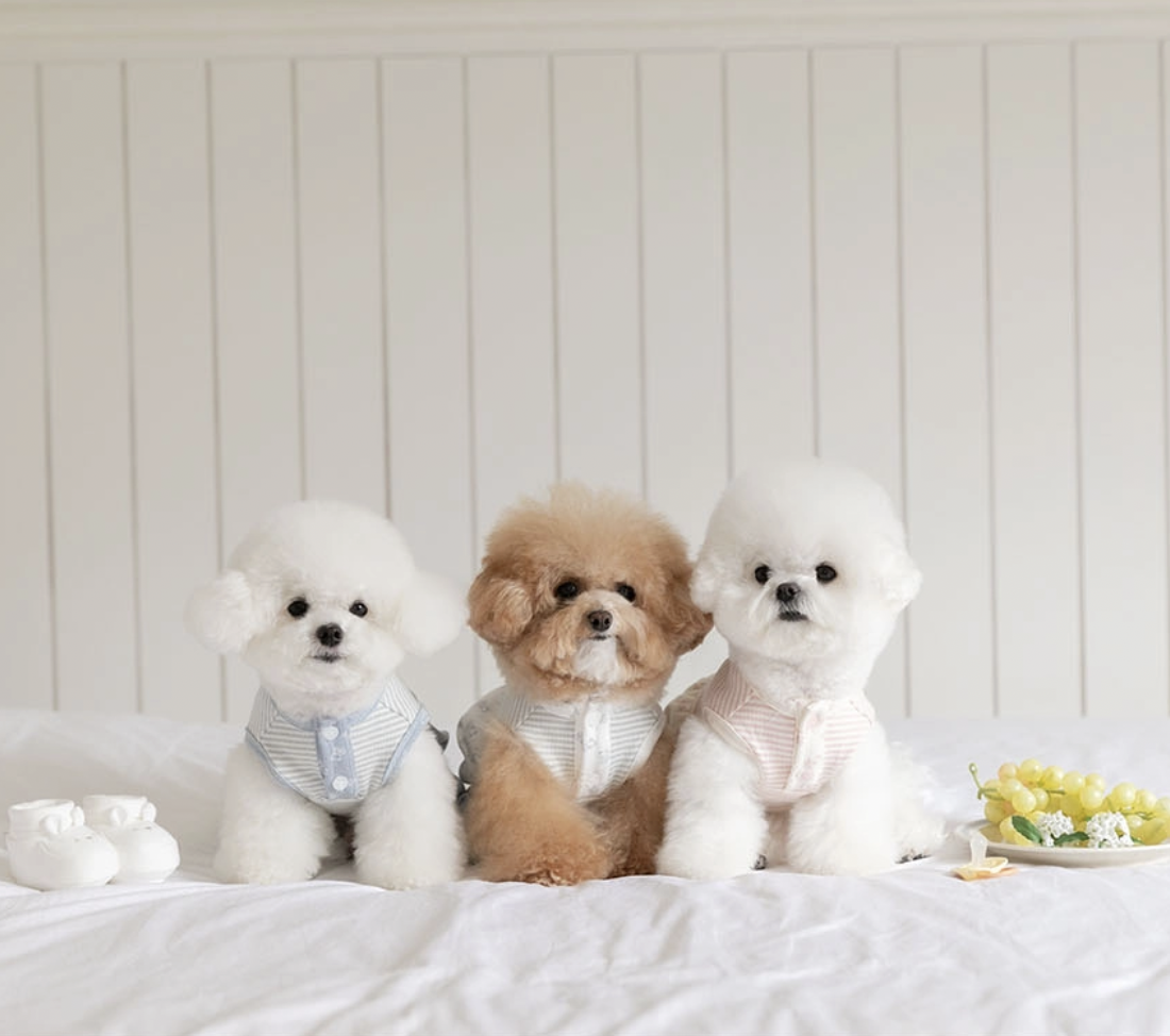 小熊寶貝連身褲