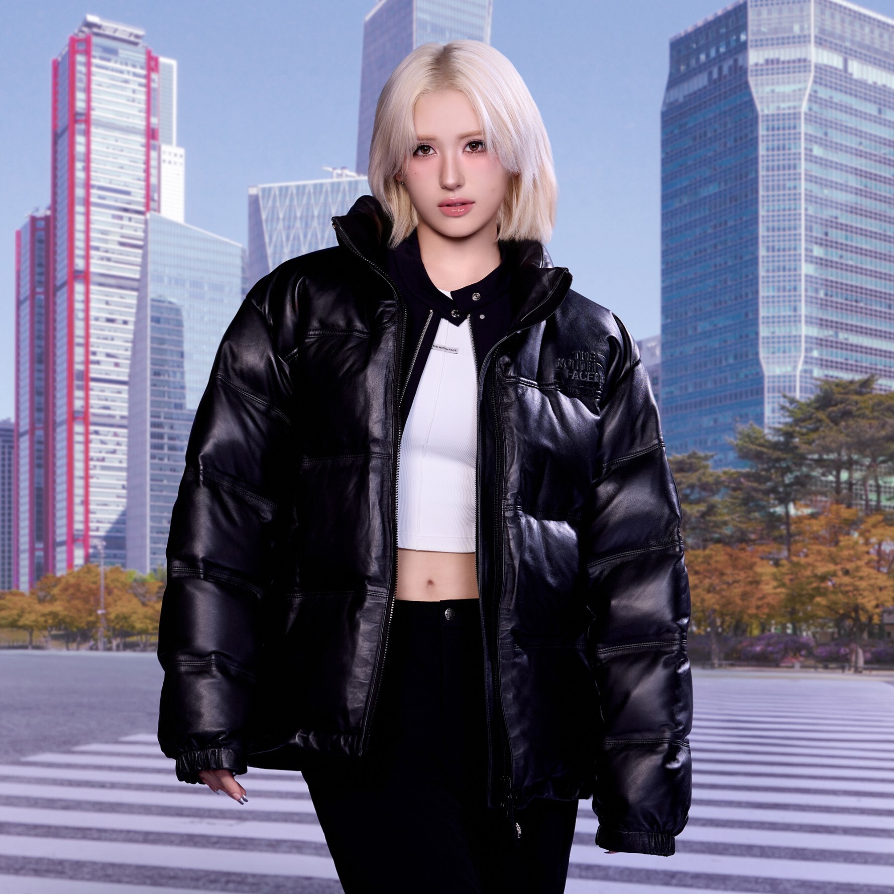 The North Face 皮革 Nuptse 頂級羽絨夾克 | 25FW 限量版 | 黑色/棕色 NJ1DR54