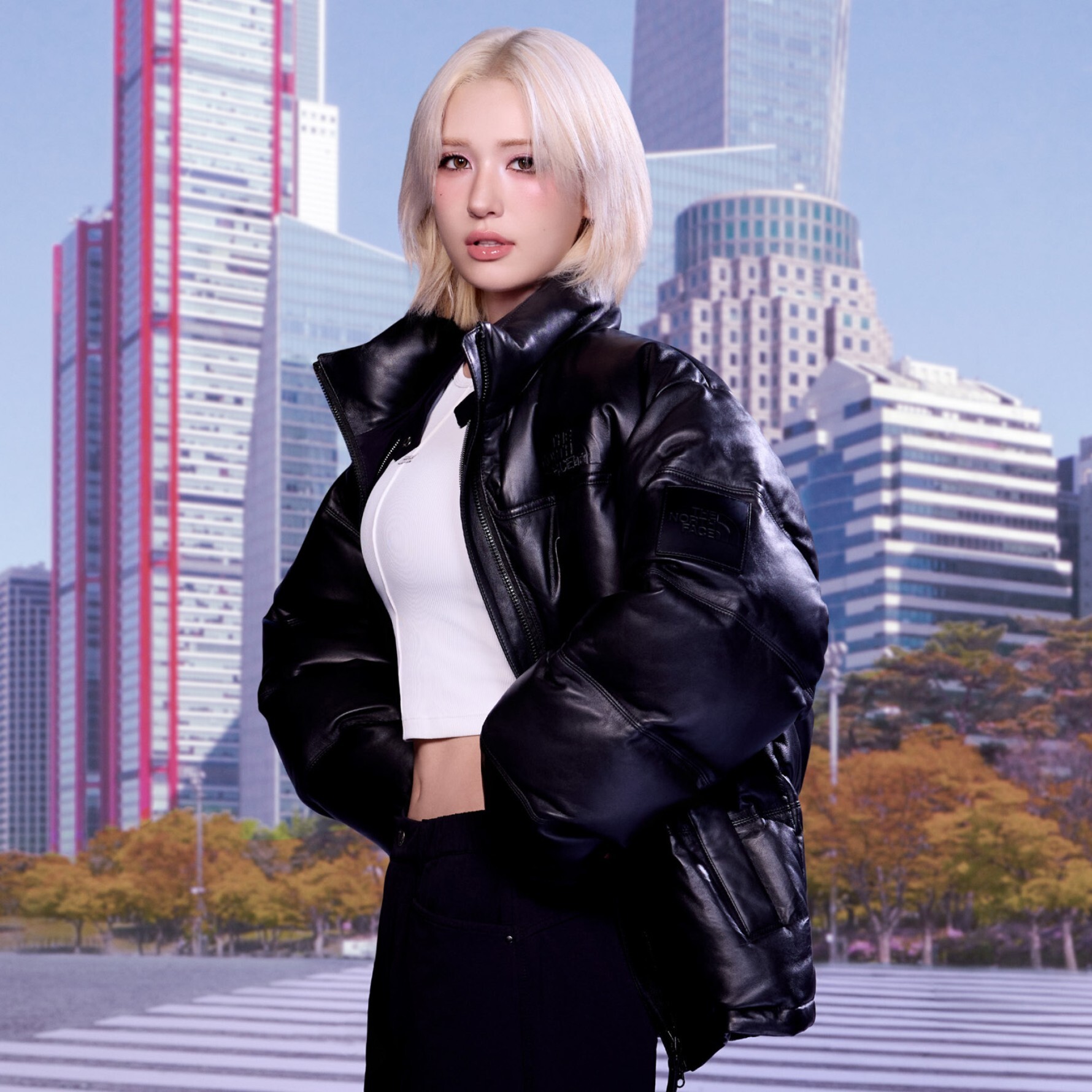 The North Face 皮革 Nuptse 頂級羽絨夾克 | 25FW 限量版 | 黑色/棕色 NJ1DR54